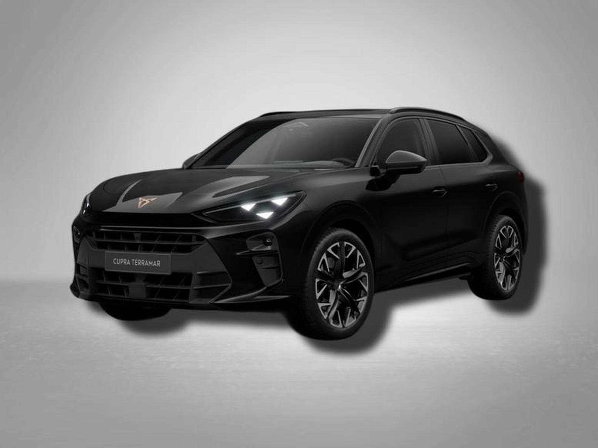 Cupra Terramar VZ 2.0 TSI 7-Gang-DSG 4Drive (2026) - Foto 1