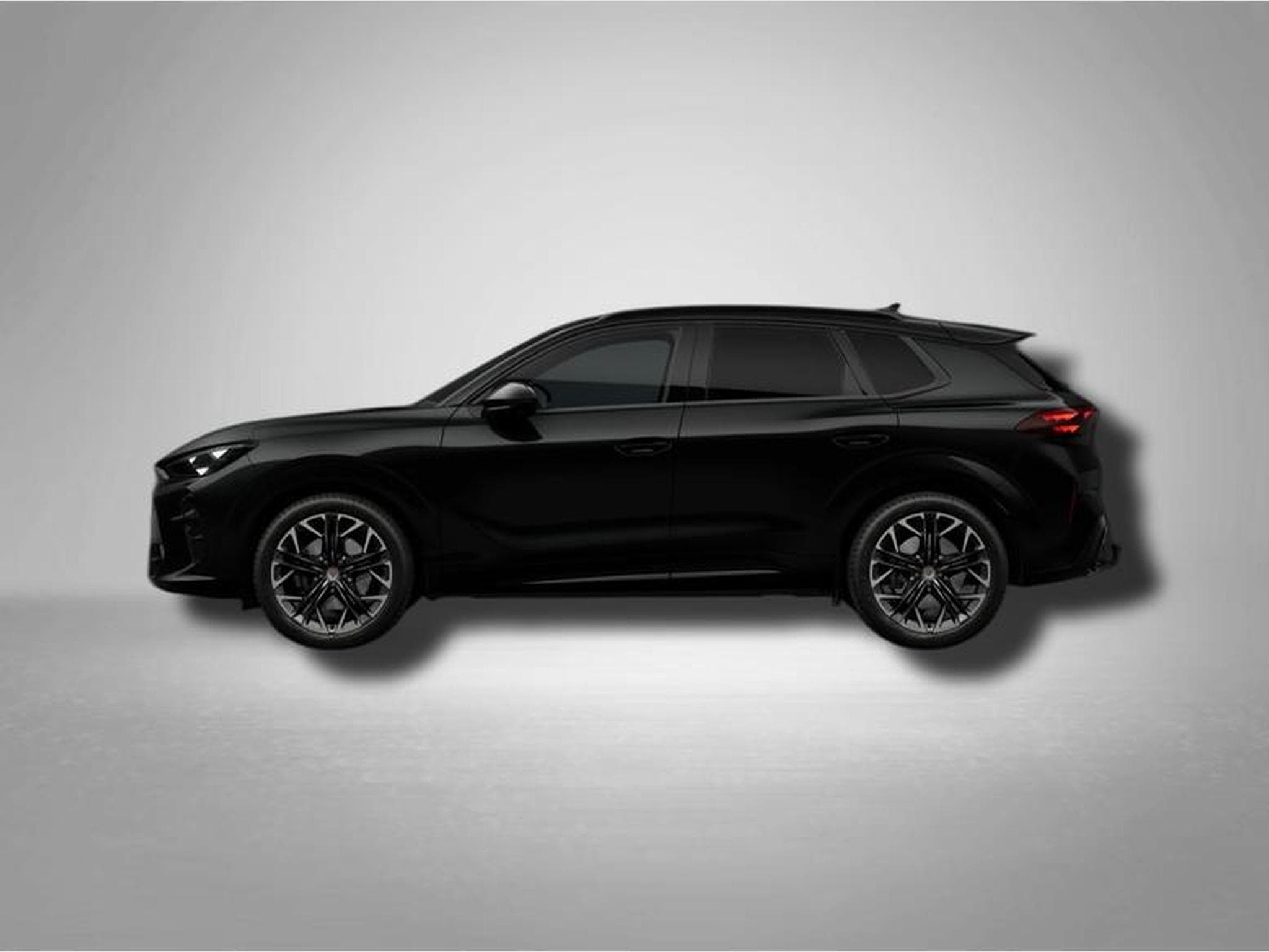 Cupra Terramar VZ 2.0 TSI 7-Gang-DSG 4Drive (2026) - Foto 2