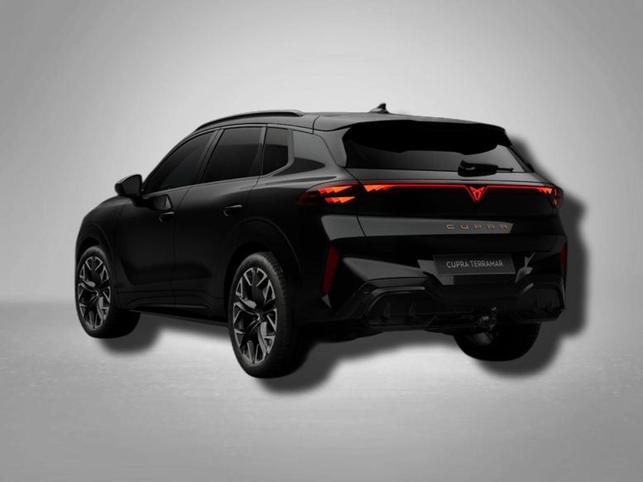 Cupra Terramar VZ 2.0 TSI 7-Gang-DSG 4Drive (2026) - Foto 3