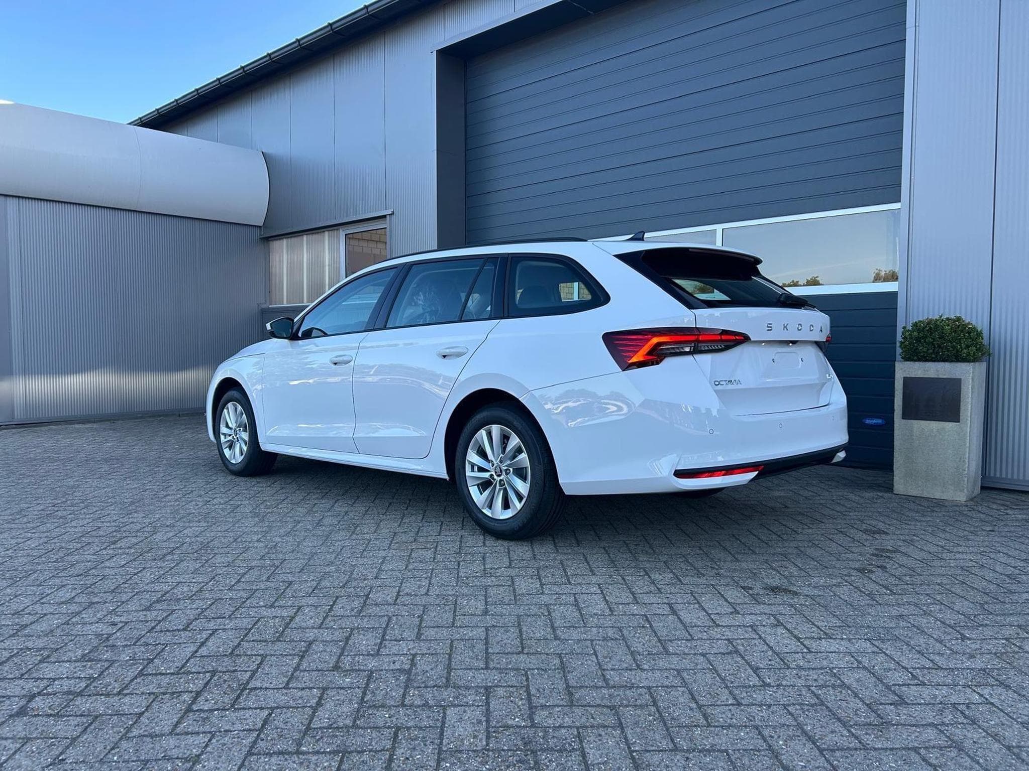 Skoda Octavia 1.5 TSI 150PS (2026) - Foto 3