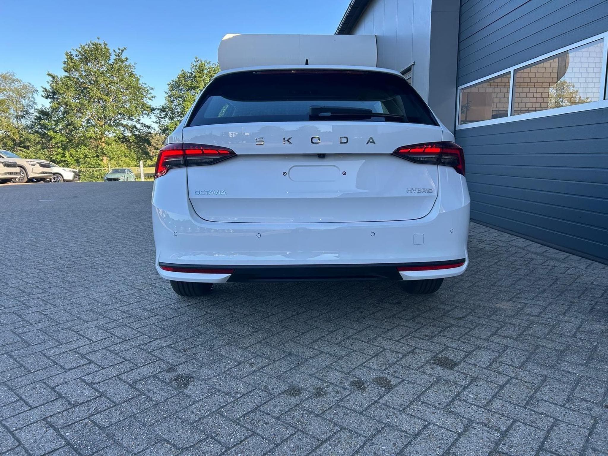 Skoda Octavia 1.5 TSI 150PS (2026) - Foto 4