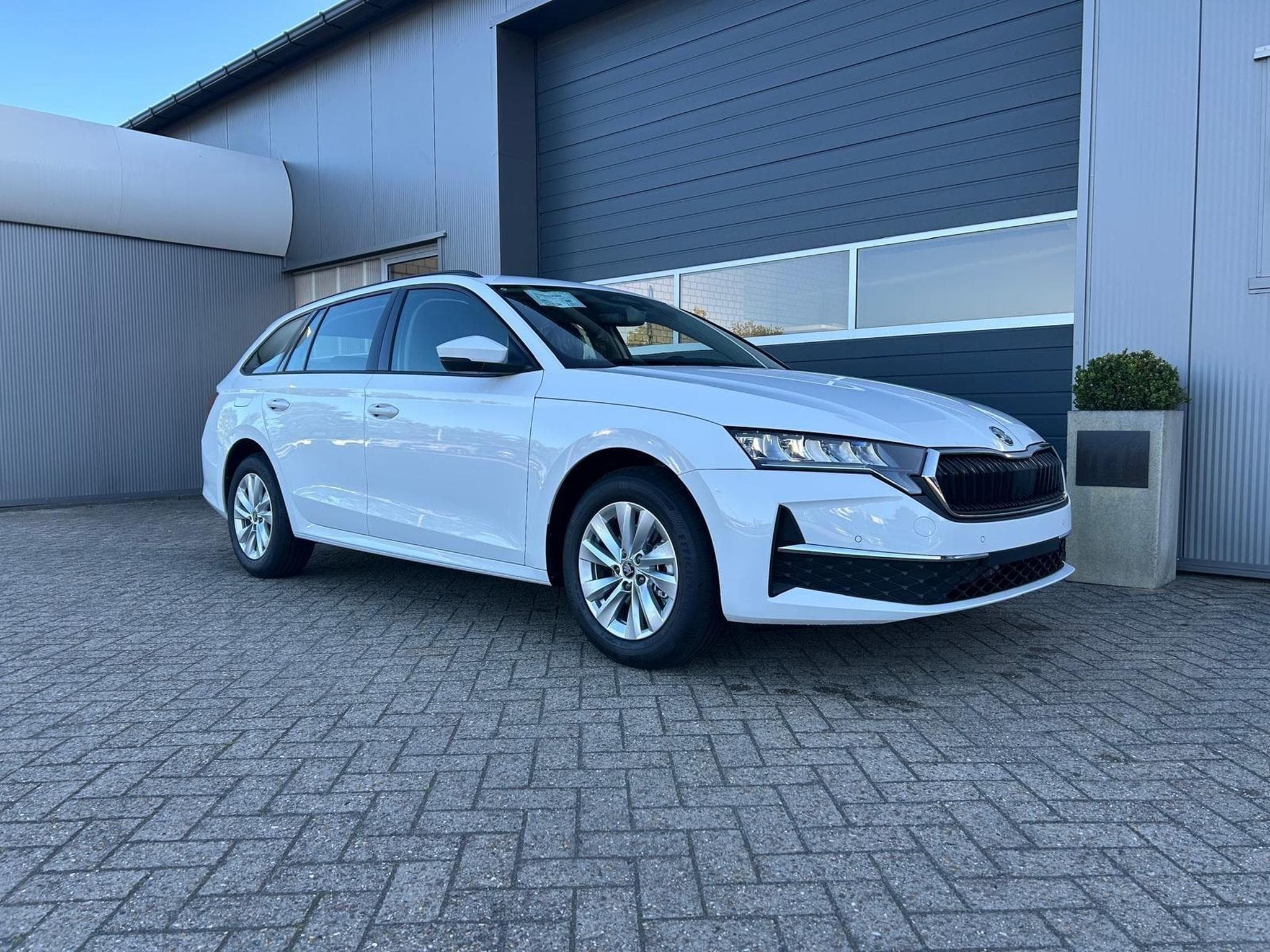 Skoda Octavia 1.5 TSI 150PS (2026) - Foto 6
