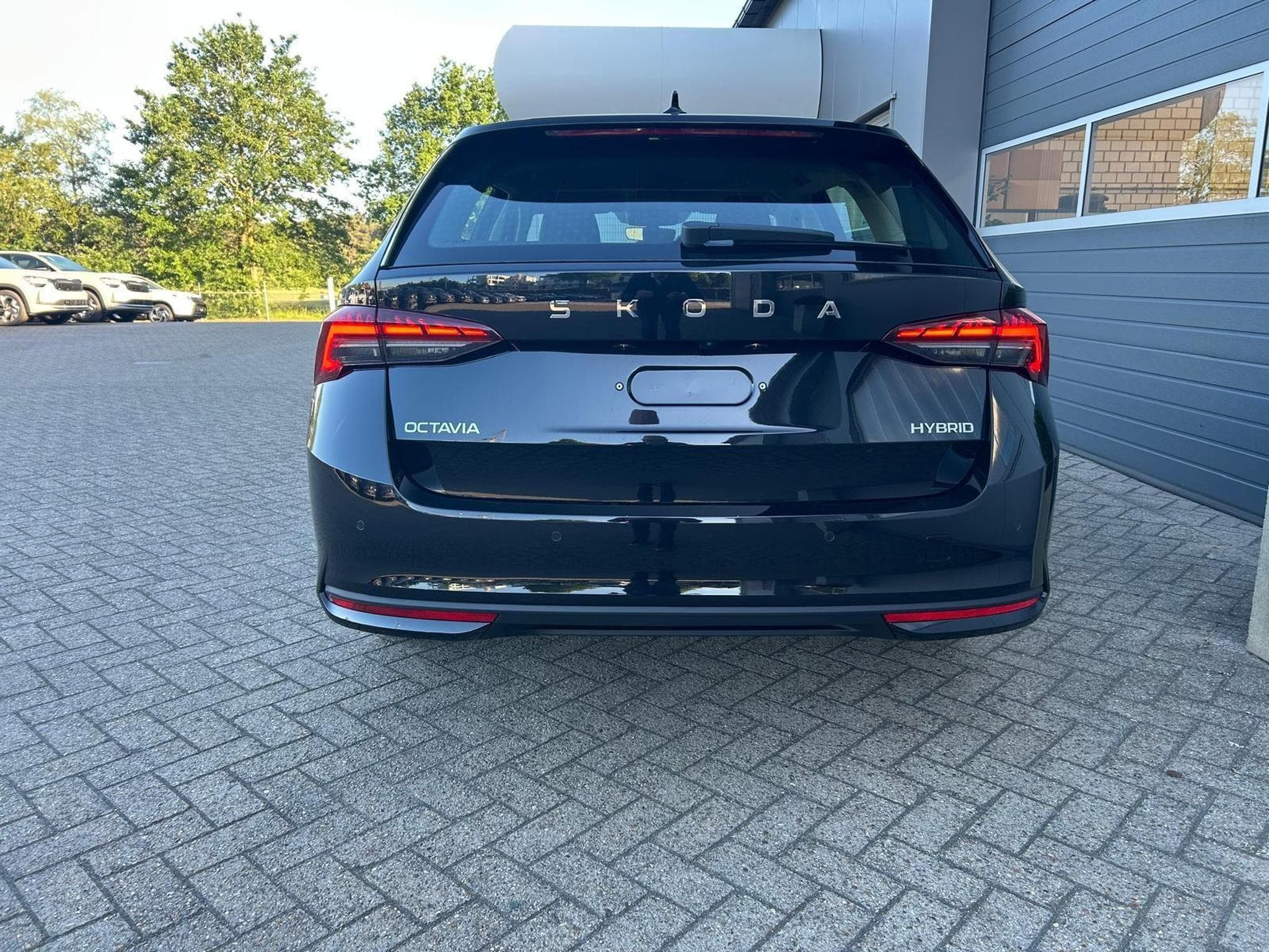 Skoda Octavia 1.5 TSI 150PS (2026) - Foto 3