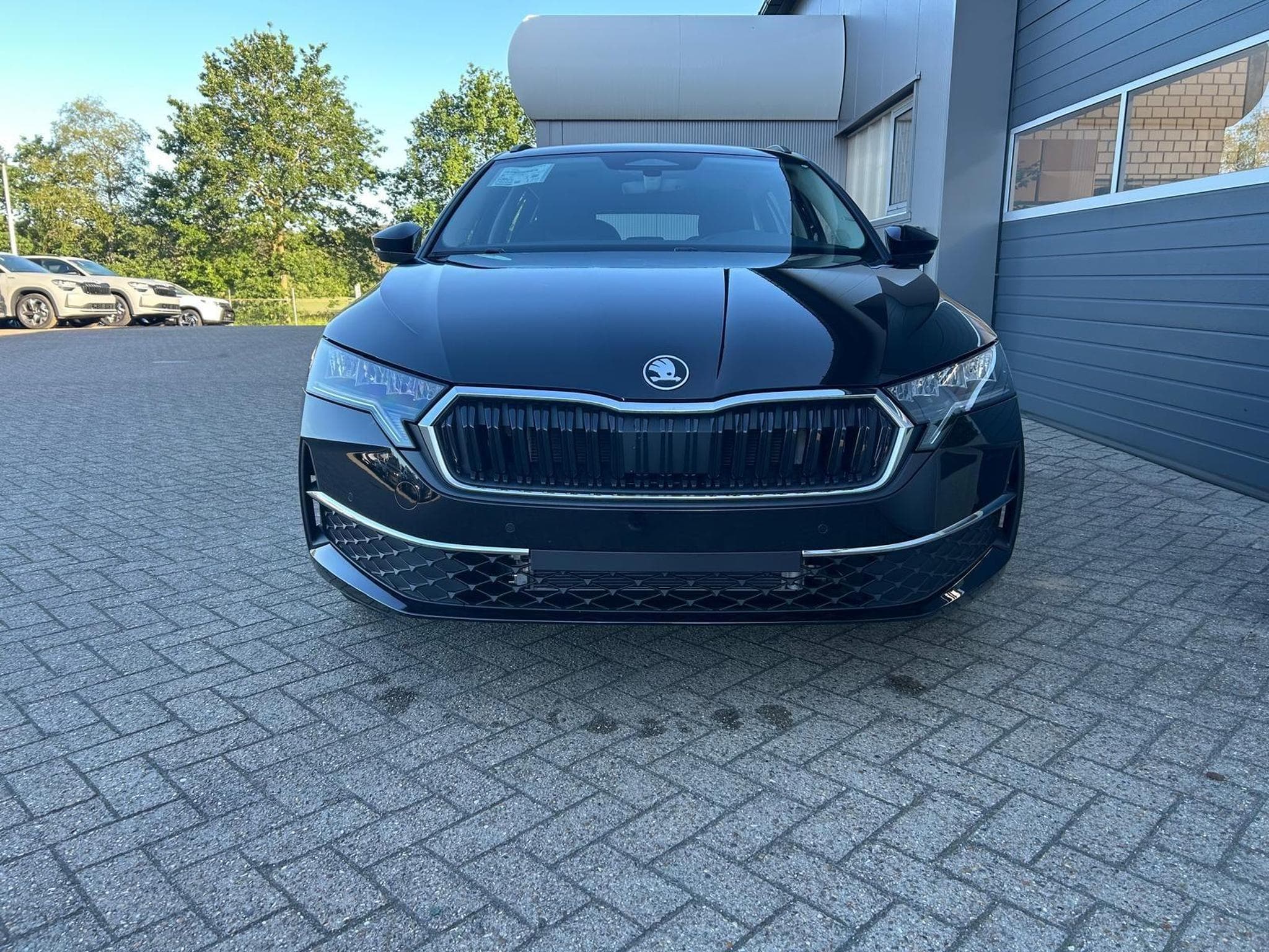 Skoda Octavia 1.5 TSI 150PS (2026) - Foto 7