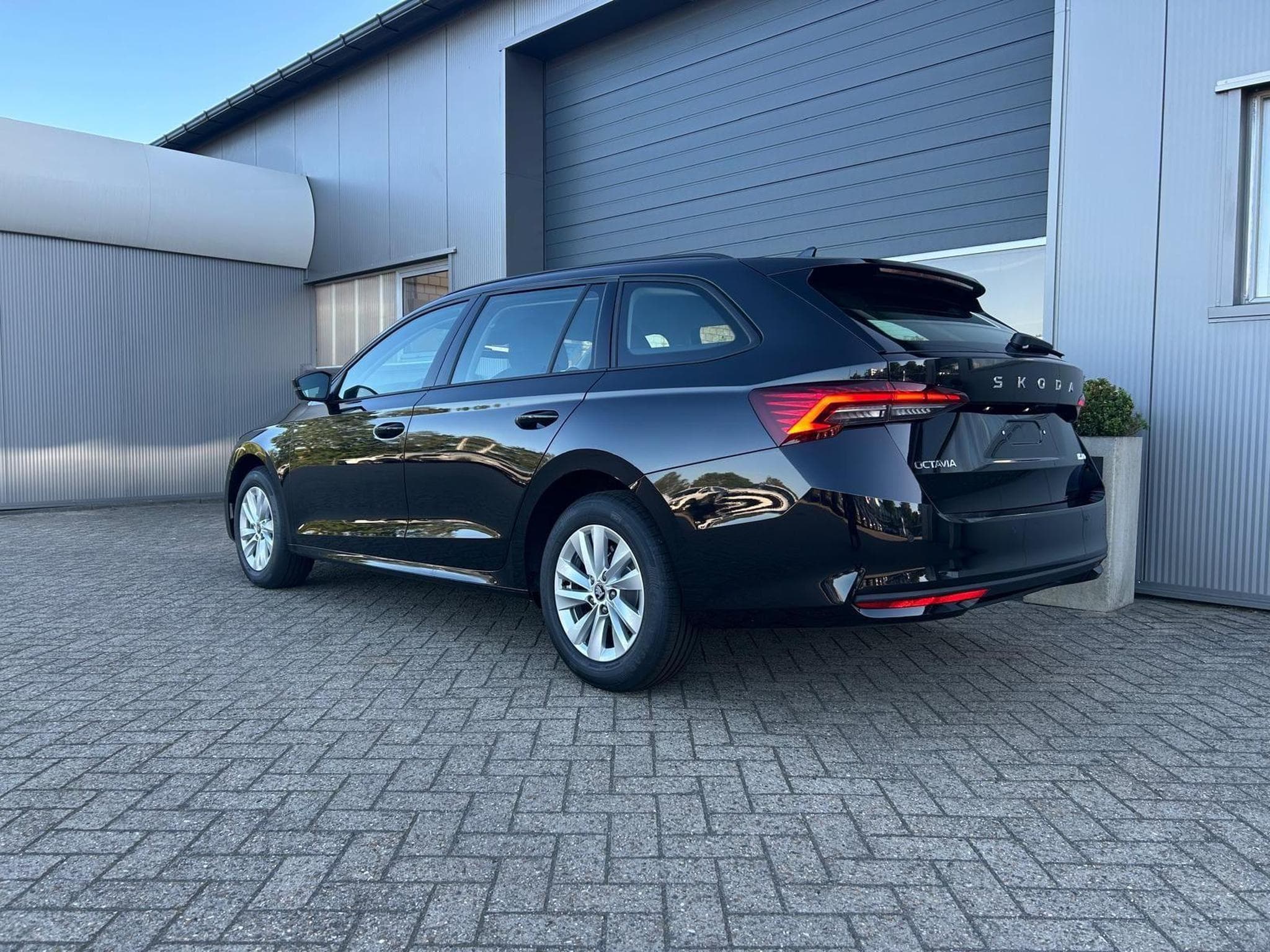 Skoda Octavia 1.5 TSI 150PS (2026) - Foto 3