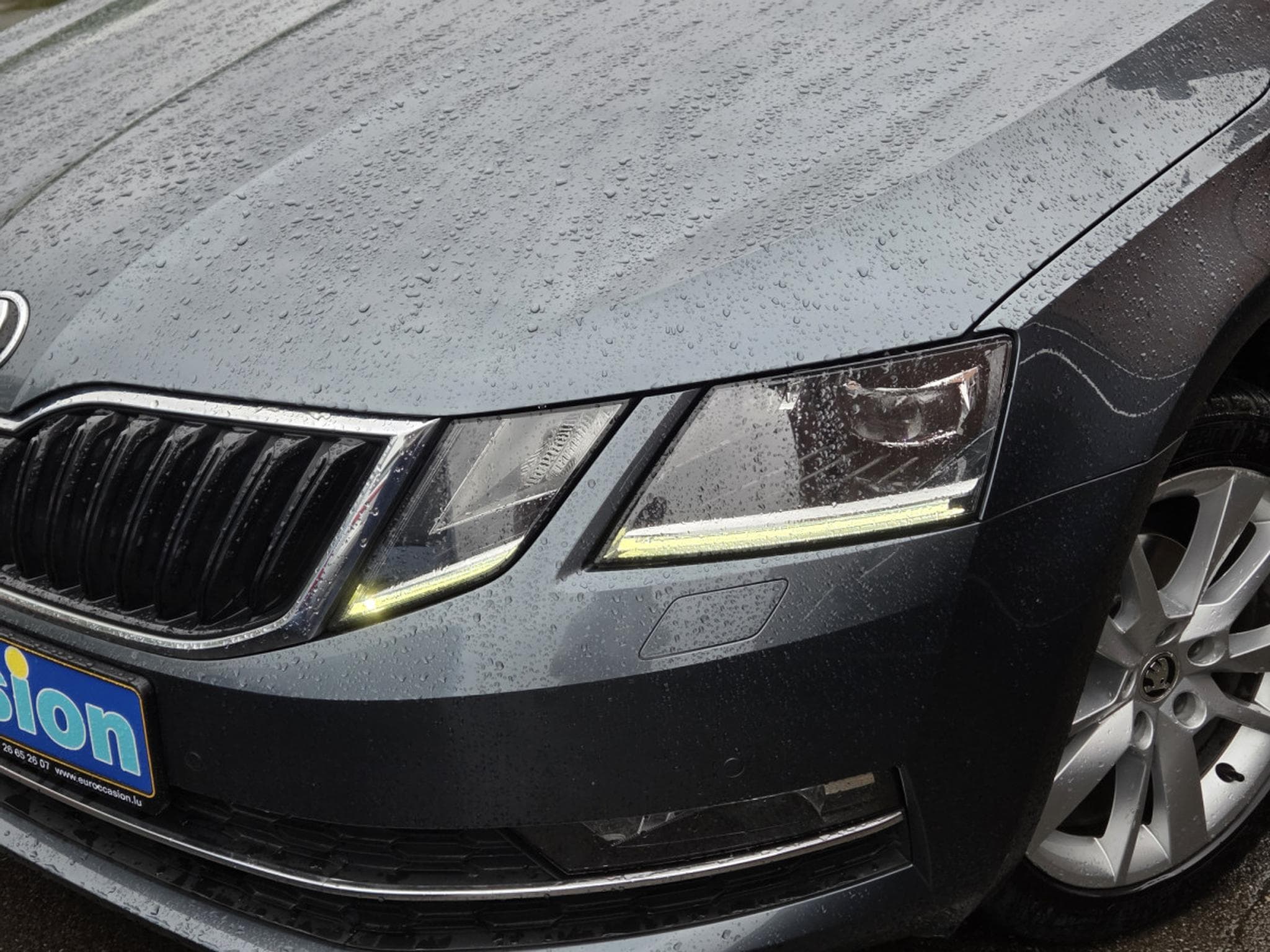 Skoda Octavia BREAK TDI DSG (2019) - Foto 2