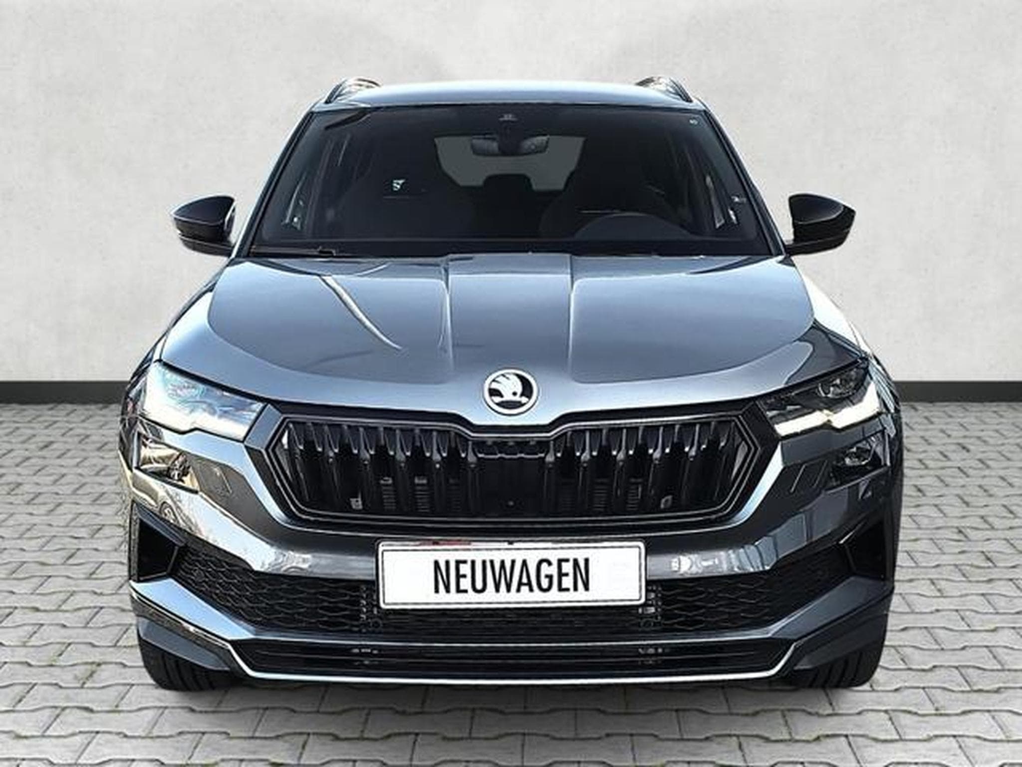 Skoda Karoq Sportline (2026) - Photo 2