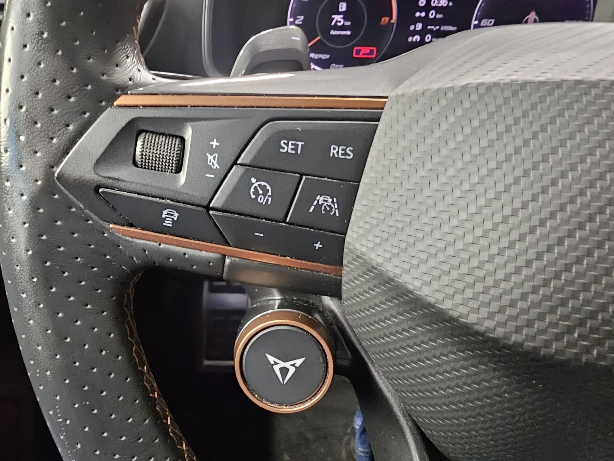 Cupra Leon SP VZ CUP 2.0 TSI 300 CH (2024) - Foto 13
