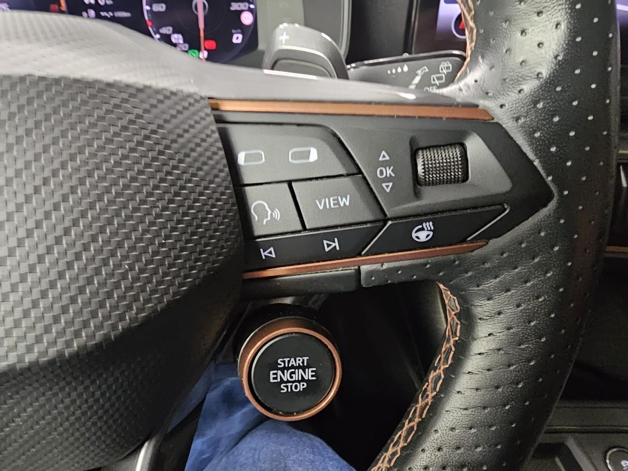 Cupra Leon SP VZ CUP 2.0 TSI 300 CH (2024) - Foto 14