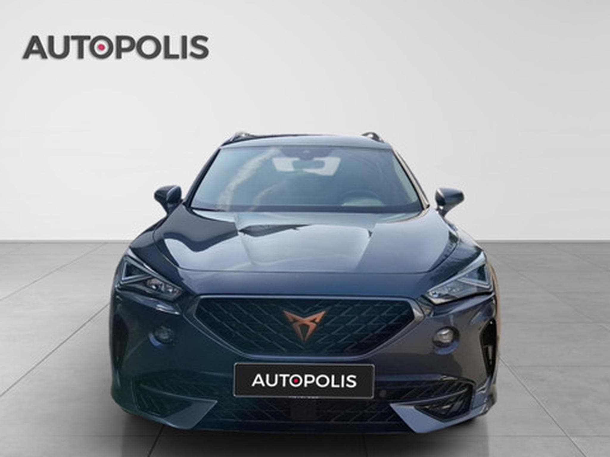Cupra Formentor 2.0 TSI 4Drive 228kW DSG VZ (2020) - Photo 14