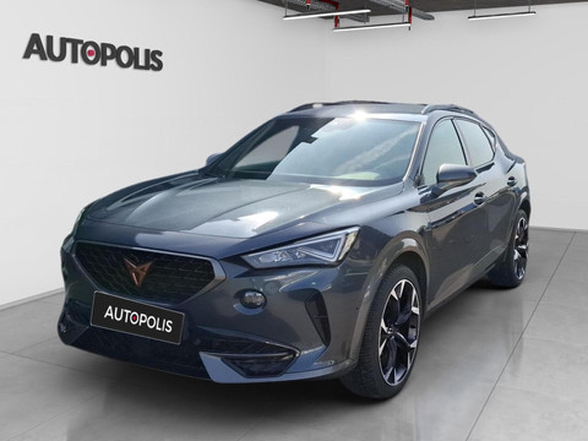 Cupra Formentor 2.0 TSI 4Drive 228kW DSG VZ (2020) - Photo 17