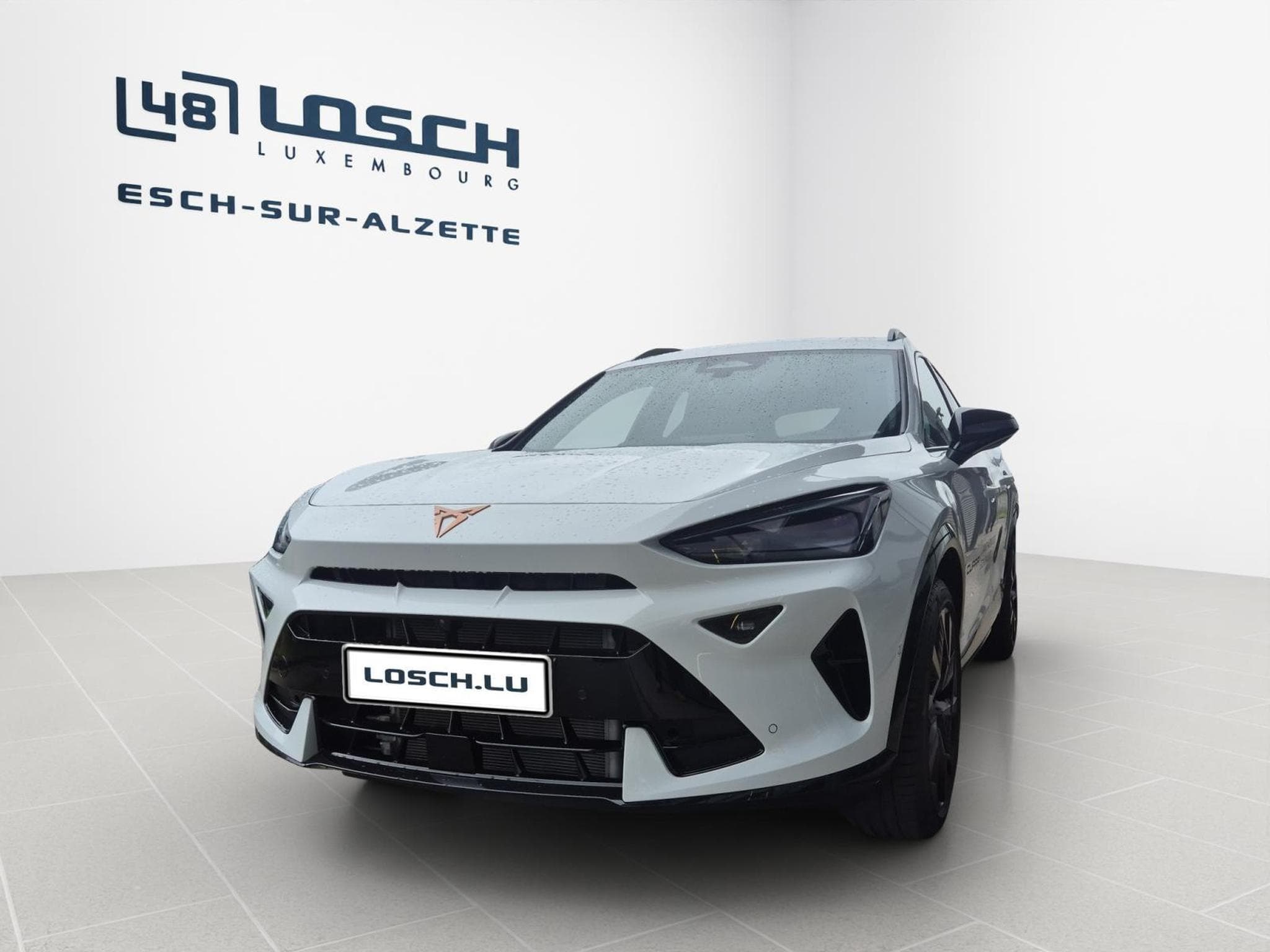 Cupra Formentor 1.5 eTSI DSG (2026) - Foto 6