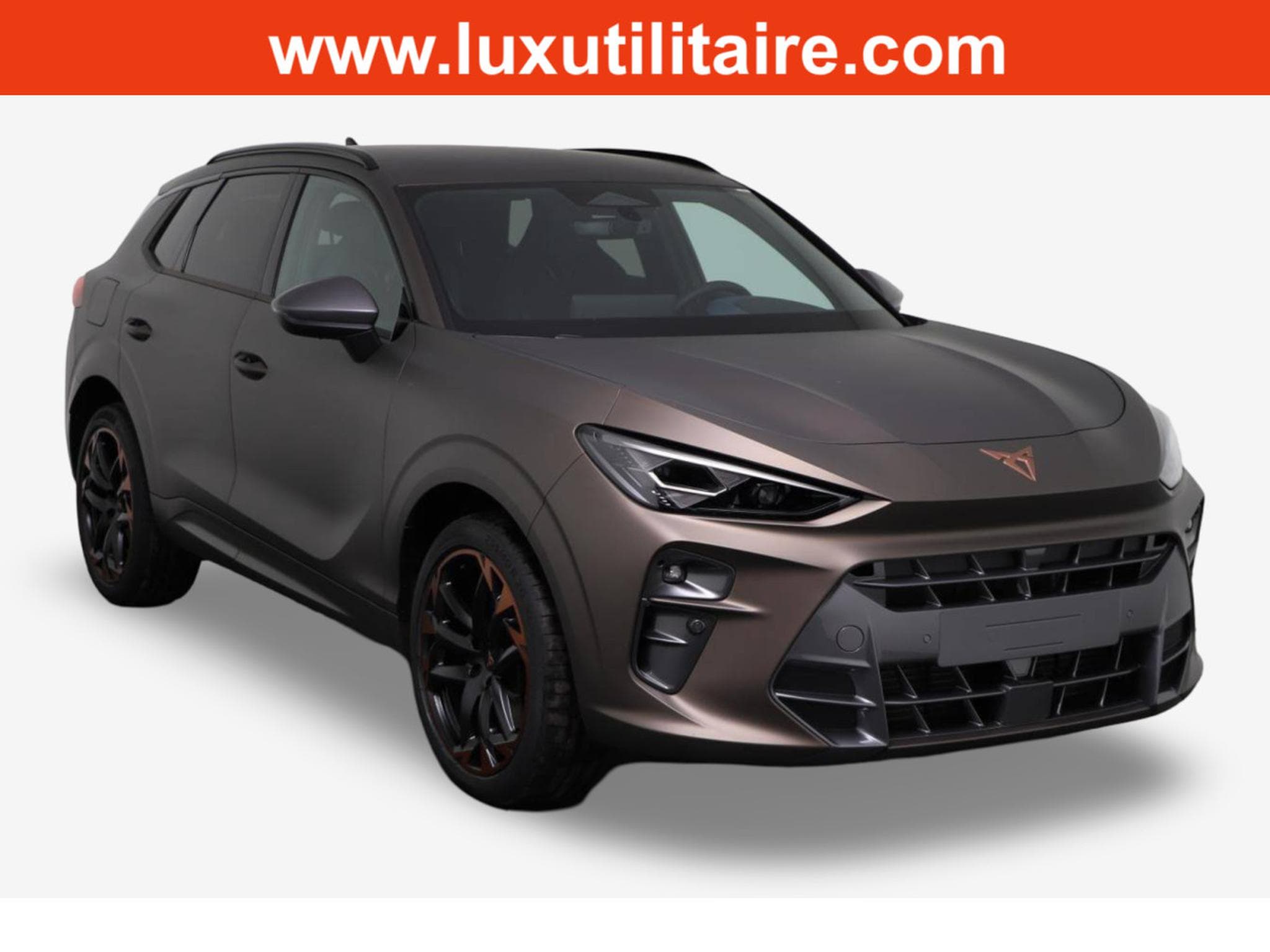 Cupra Terramar 2.0 TSI DSG 265 VZ 4Drive (2025) - Photo 1
