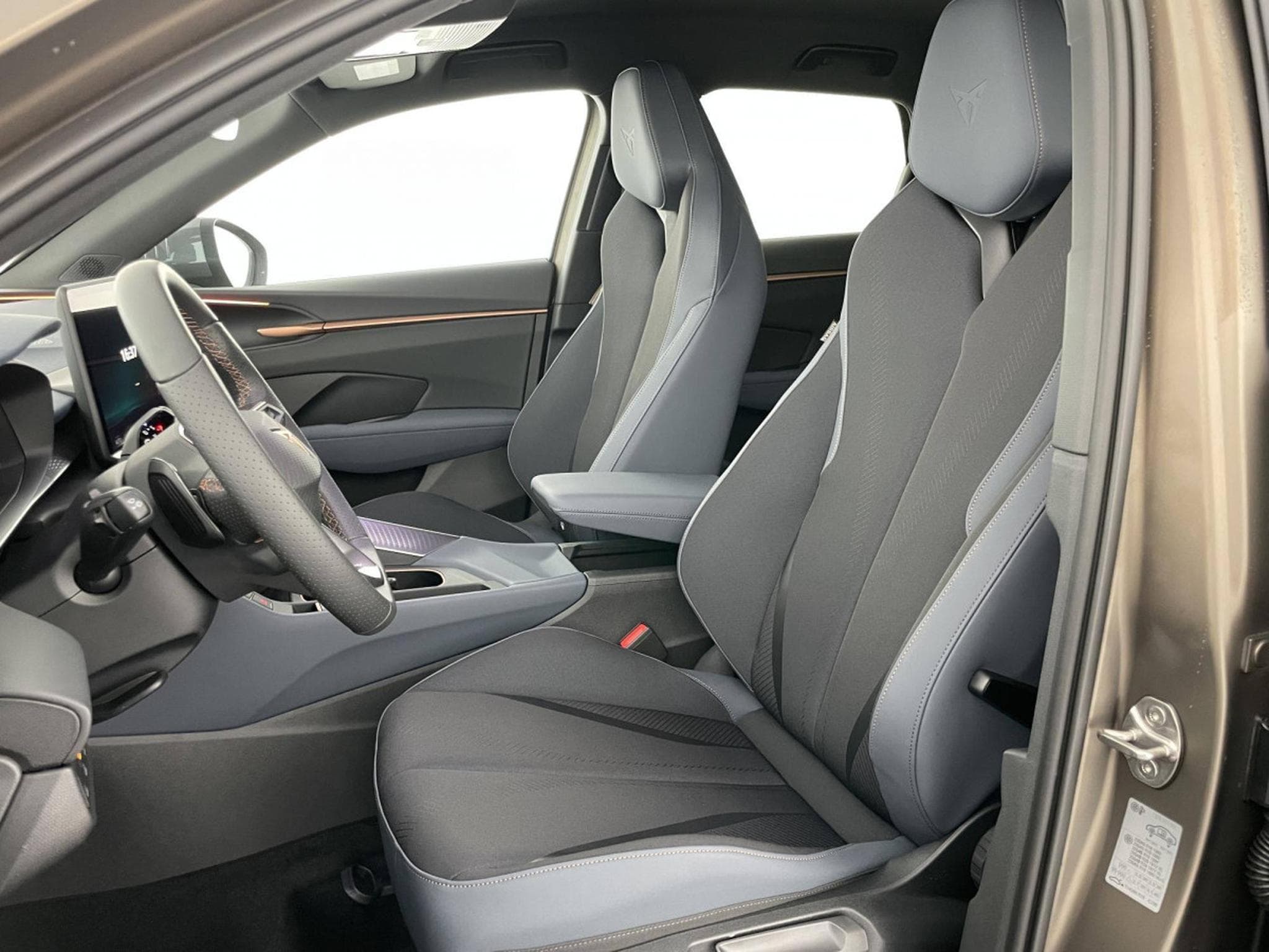 Cupra Terramar 2.0 TSI DSG 265 VZ 4Drive (2025) - Photo 9