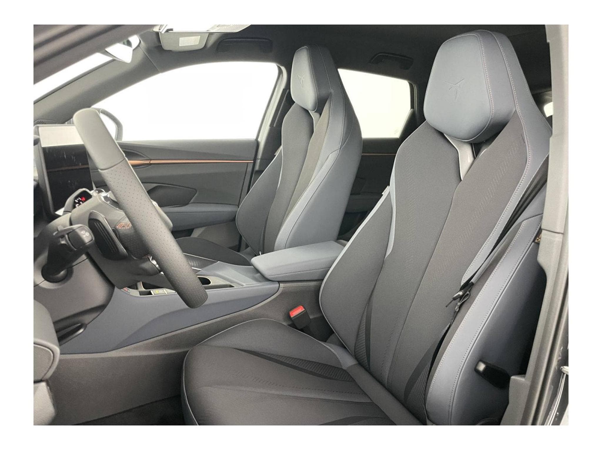 Cupra Terramar 2.0 TSI DSG 265 VZ 4Drive (2025) - Photo 9