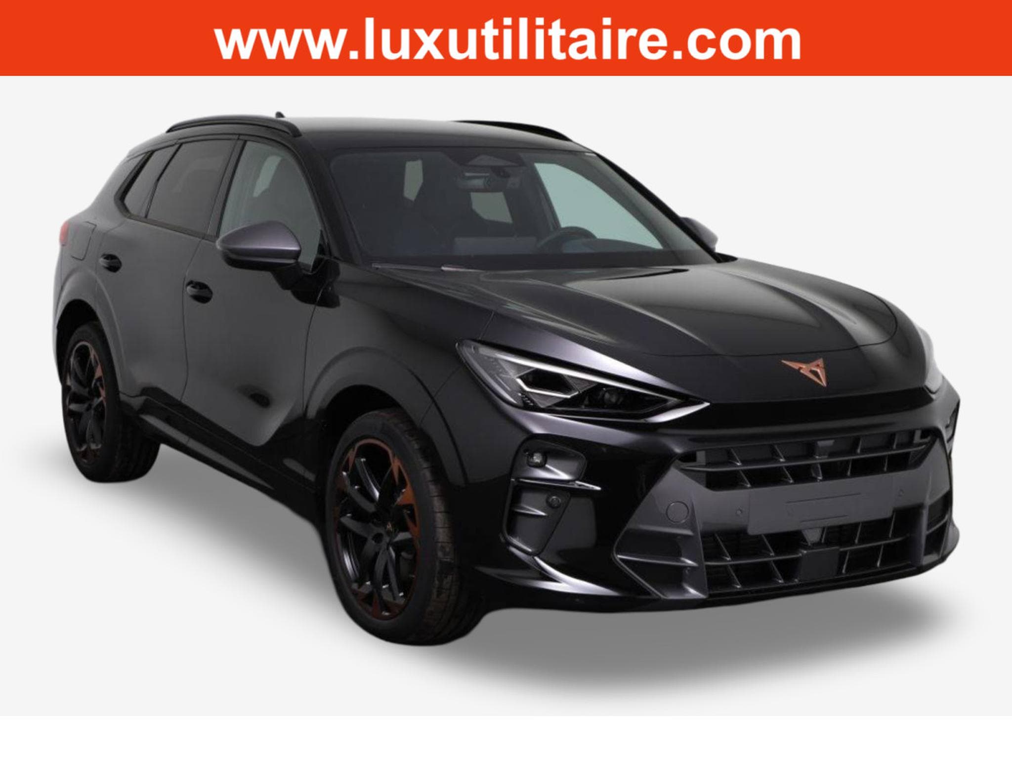 Cupra Terramar 2.0 TSI DSG 265 VZ 4Drive (2025) - Photo 1