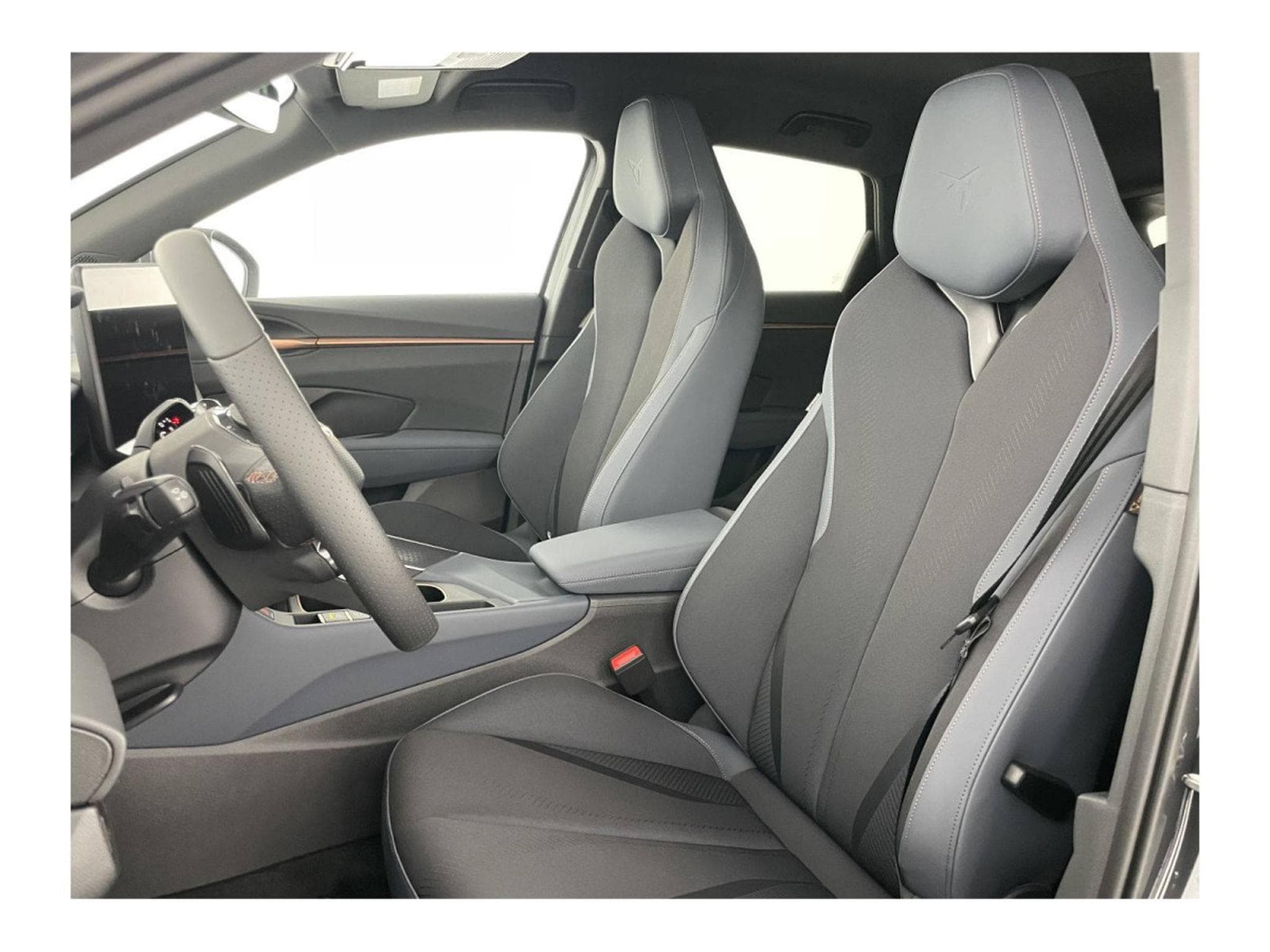 Cupra Terramar 2.0 TSI DSG 265 VZ 4Drive (2025) - Photo 9