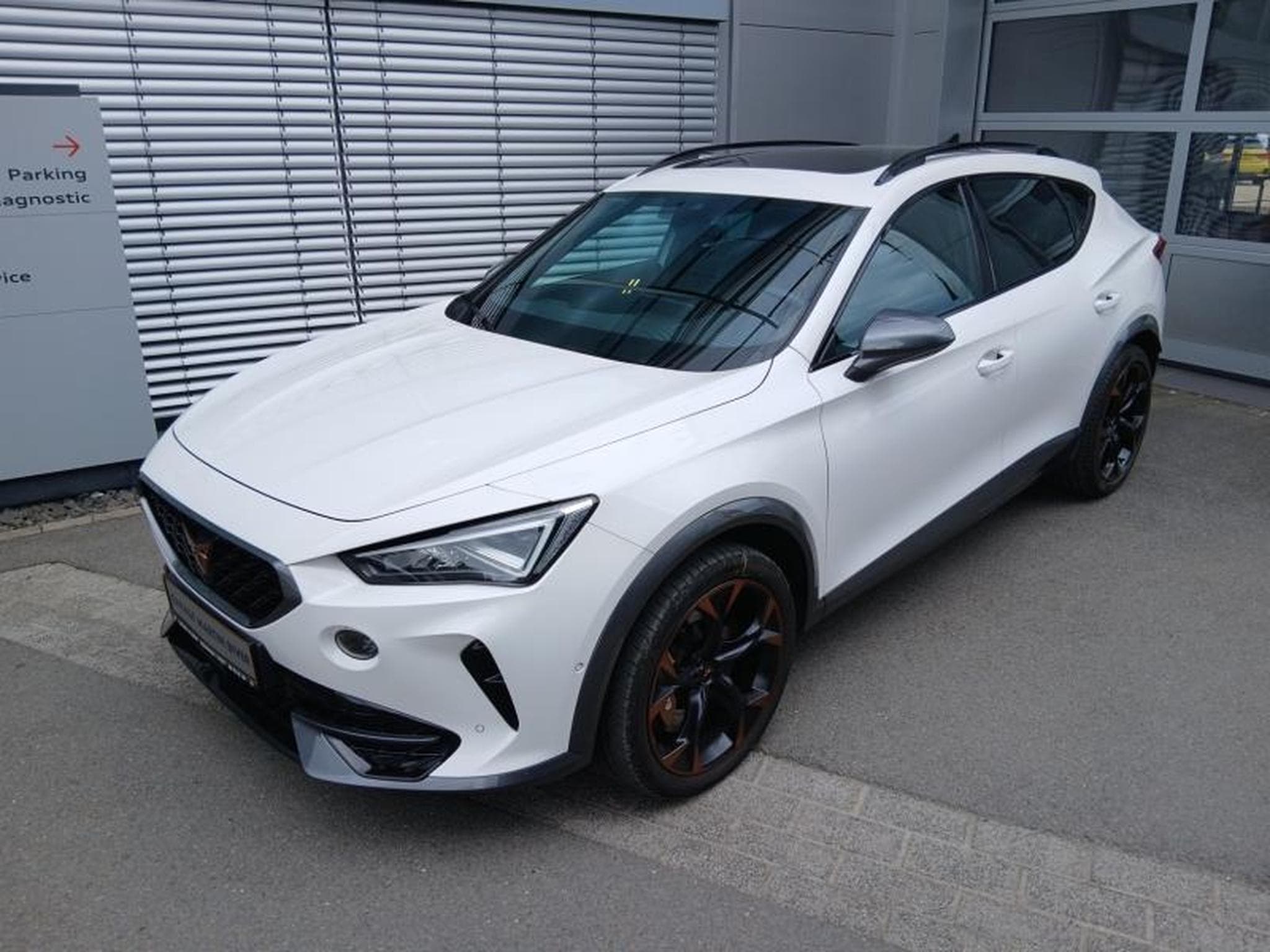 Cupra Formentor VZ 2.0 TSI 4Drive DSG (2020) - Photo 1