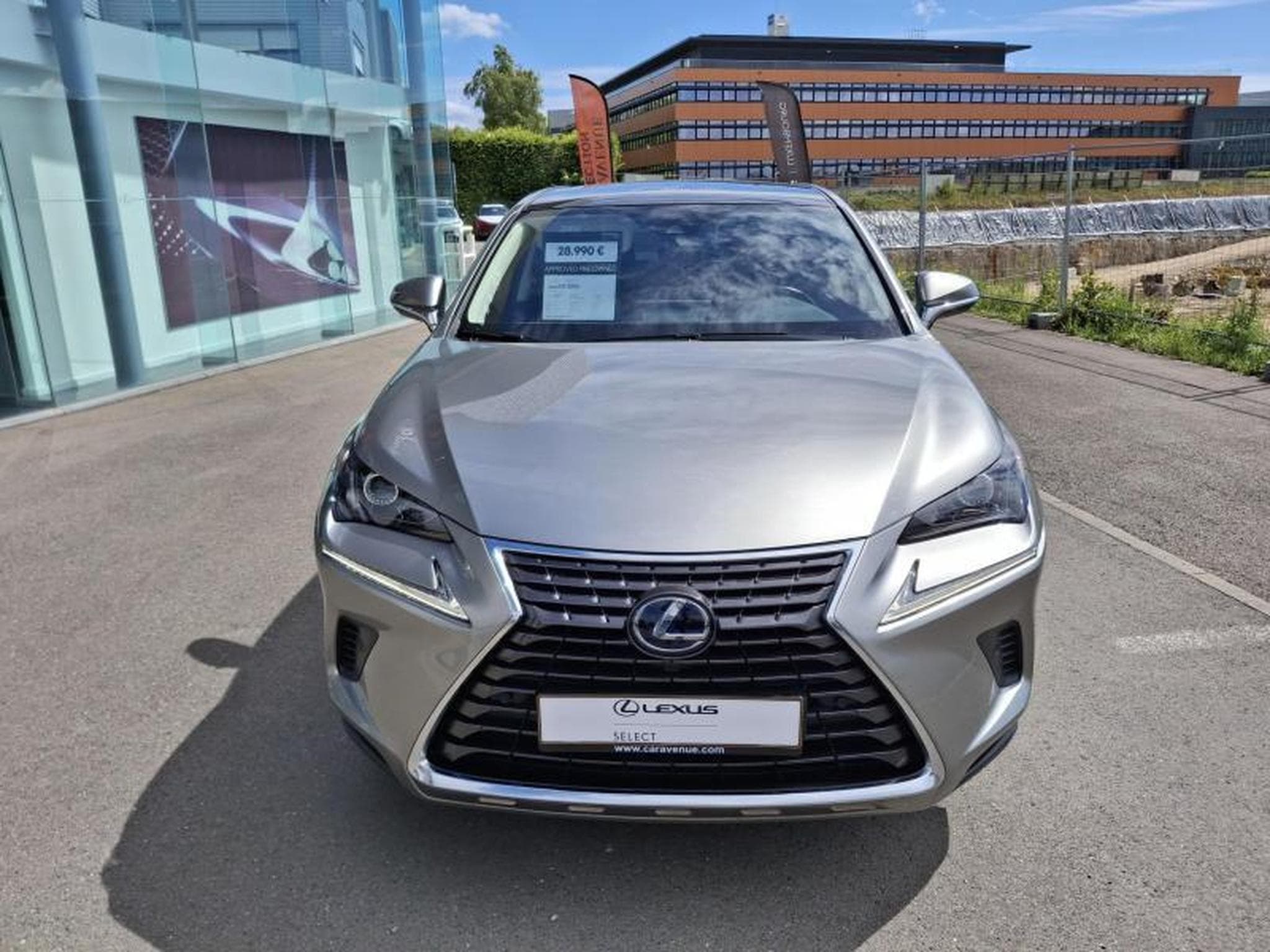 Lexus NX Executive (2020) - Foto 1
