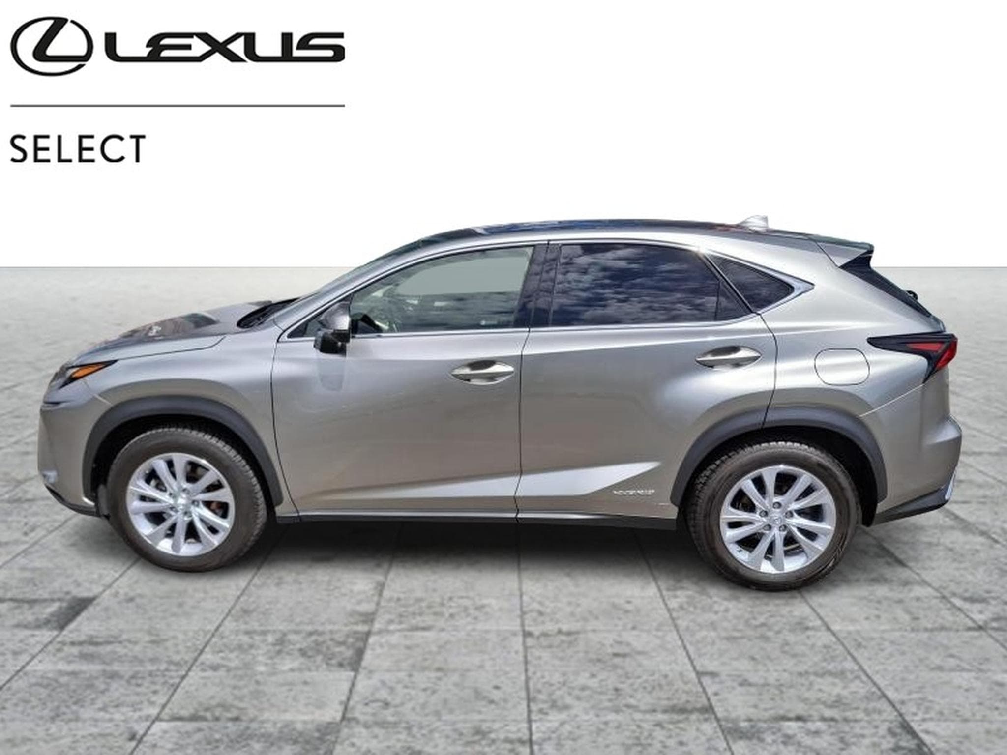 Lexus NX Executive (2020) - Foto 2