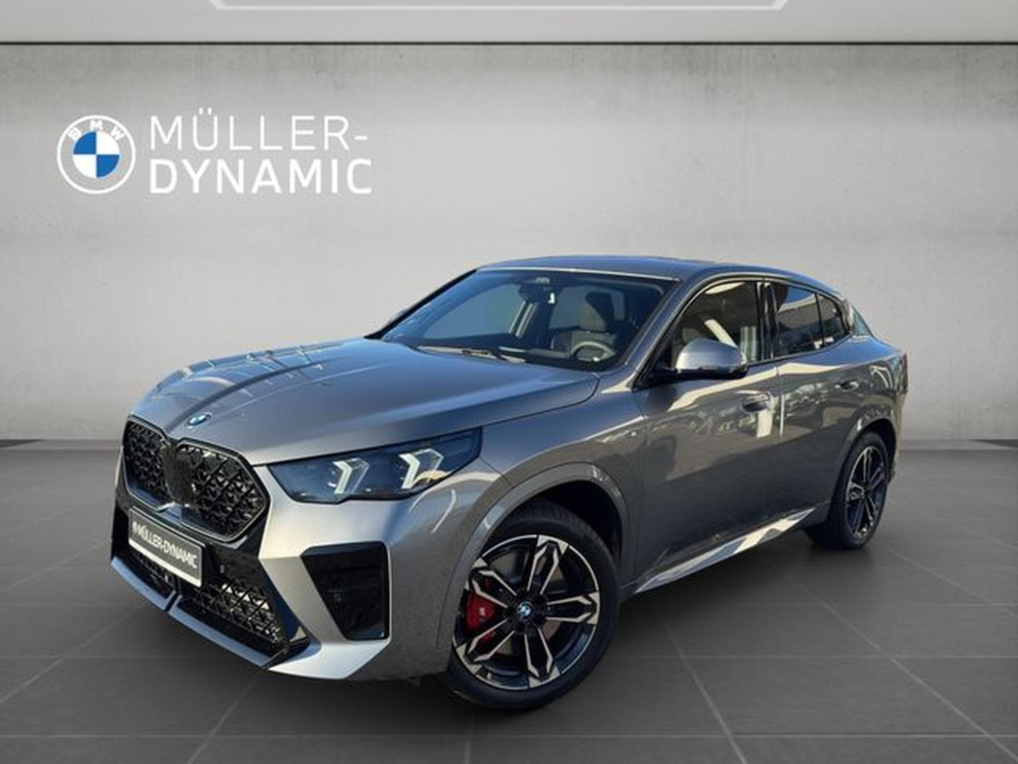 BMW X2 X2 sDrive20i M SPORT PRO LED AHK 360°KAMERA (2025) - Foto 1