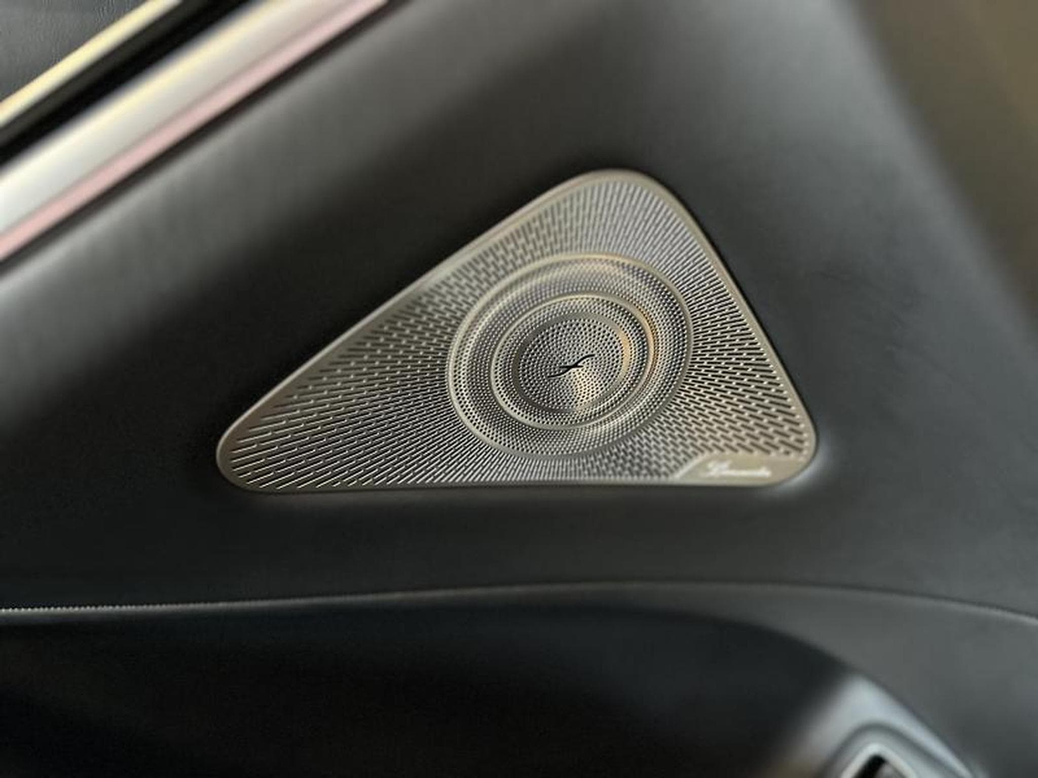 Mercedes S 63 AMG E-performance UPE 287K (2023) - Photo 14