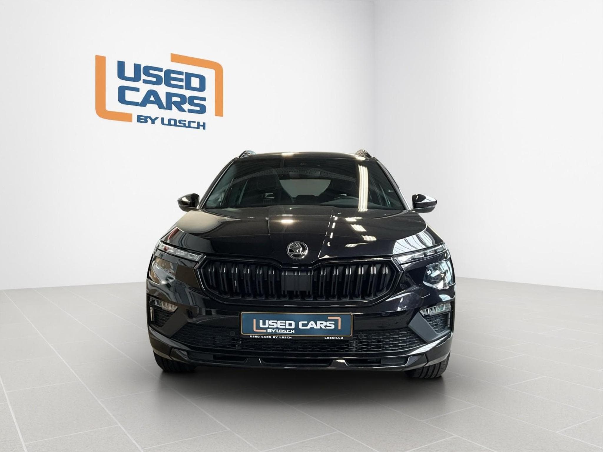 Skoda Kamiq Monte-Carlo+DSG+P.Ass.+P.Park&GO+ (2025) - Foto 3
