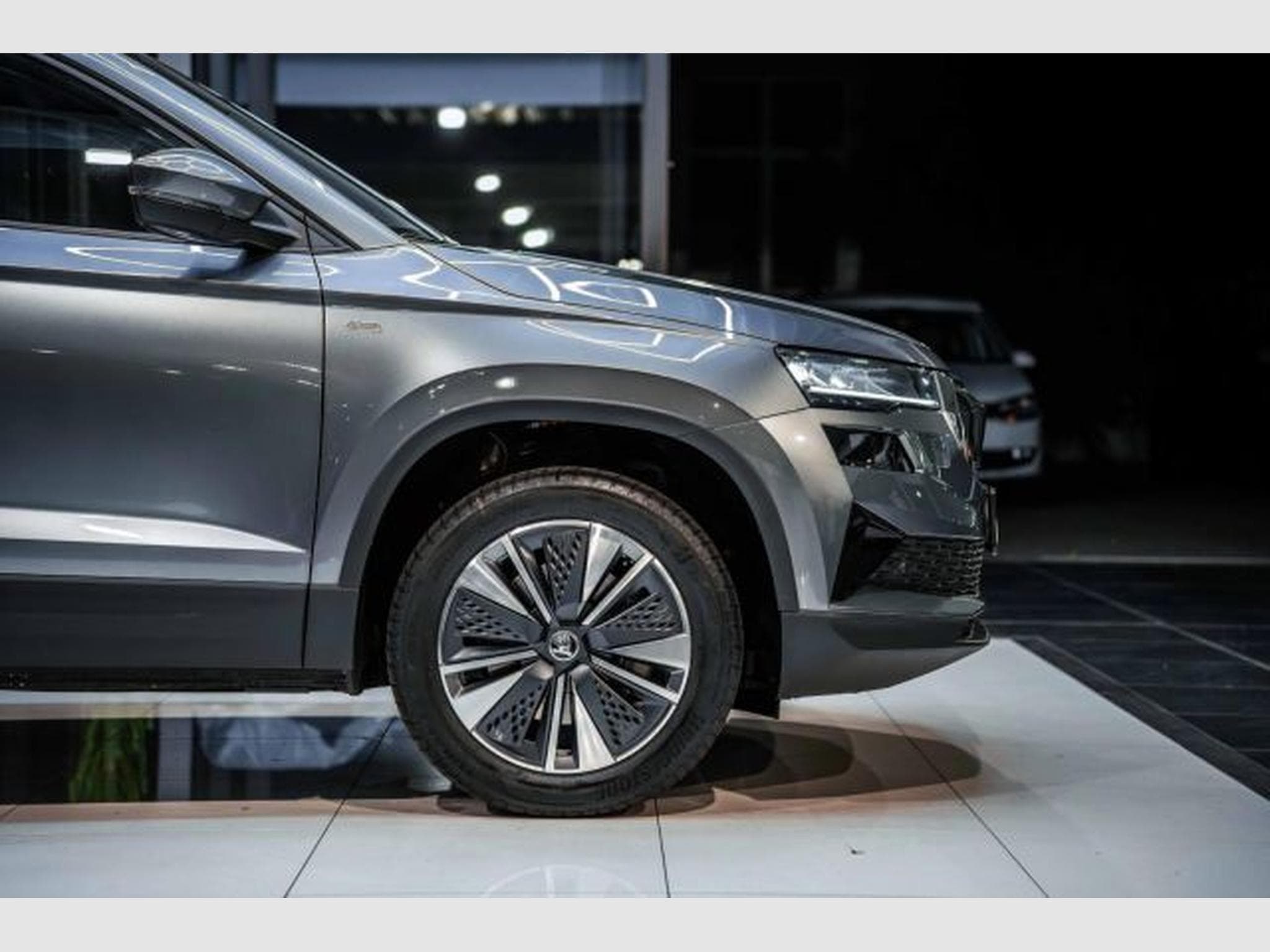 Skoda Karoq Karoq Tour 1.5 TSI DSG ACC MATRIX RFK AHK SHZ (2022) - Photo 9