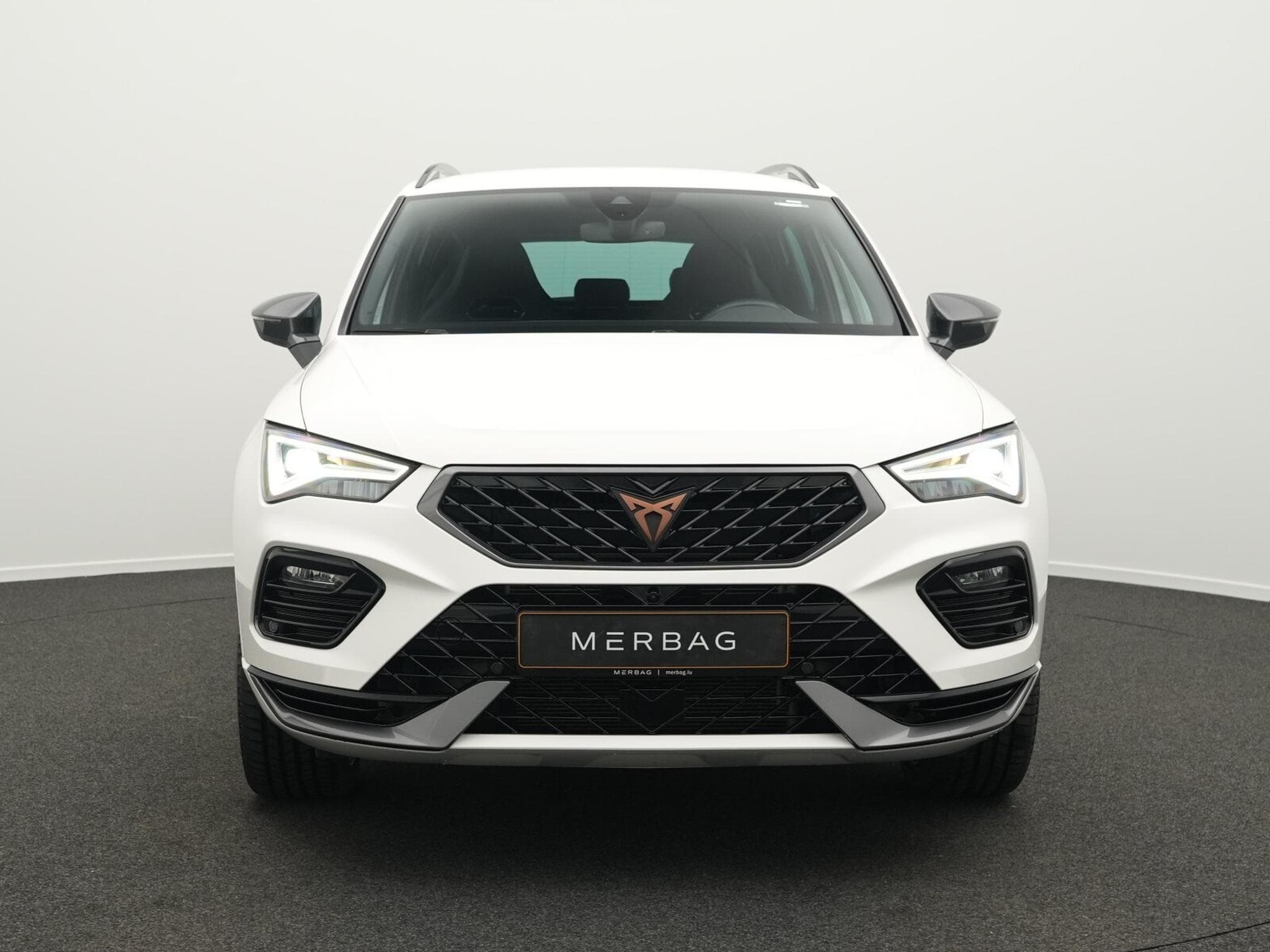 CUPRA Ateca 2.0 TSI VZ 4Drive OPF (2024) - Foto 2