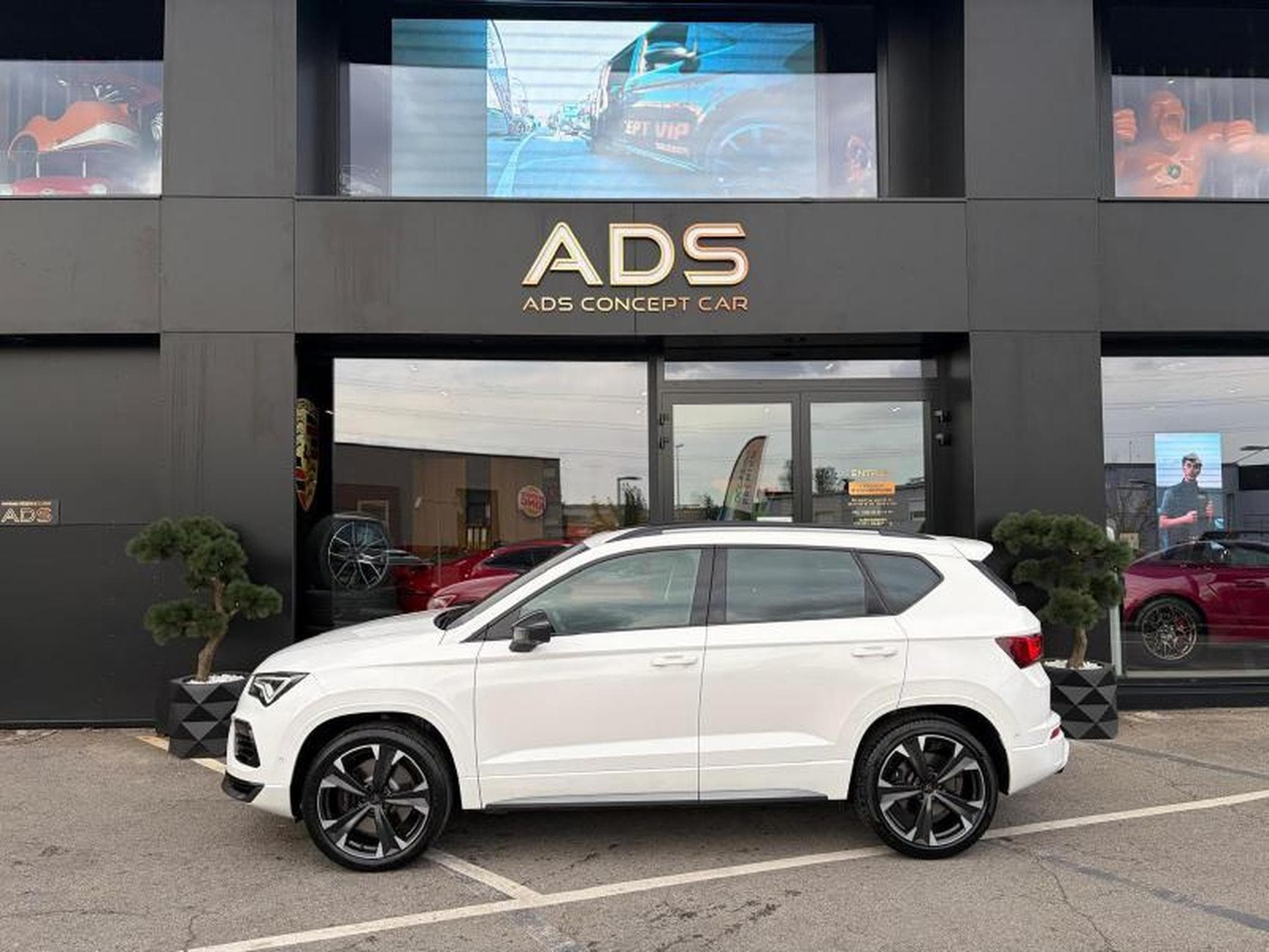 Cupra Ateca BVA/Cam360°/BeatsAudio/Jantes19/AppleCarPlay (2023) - Foto 15
