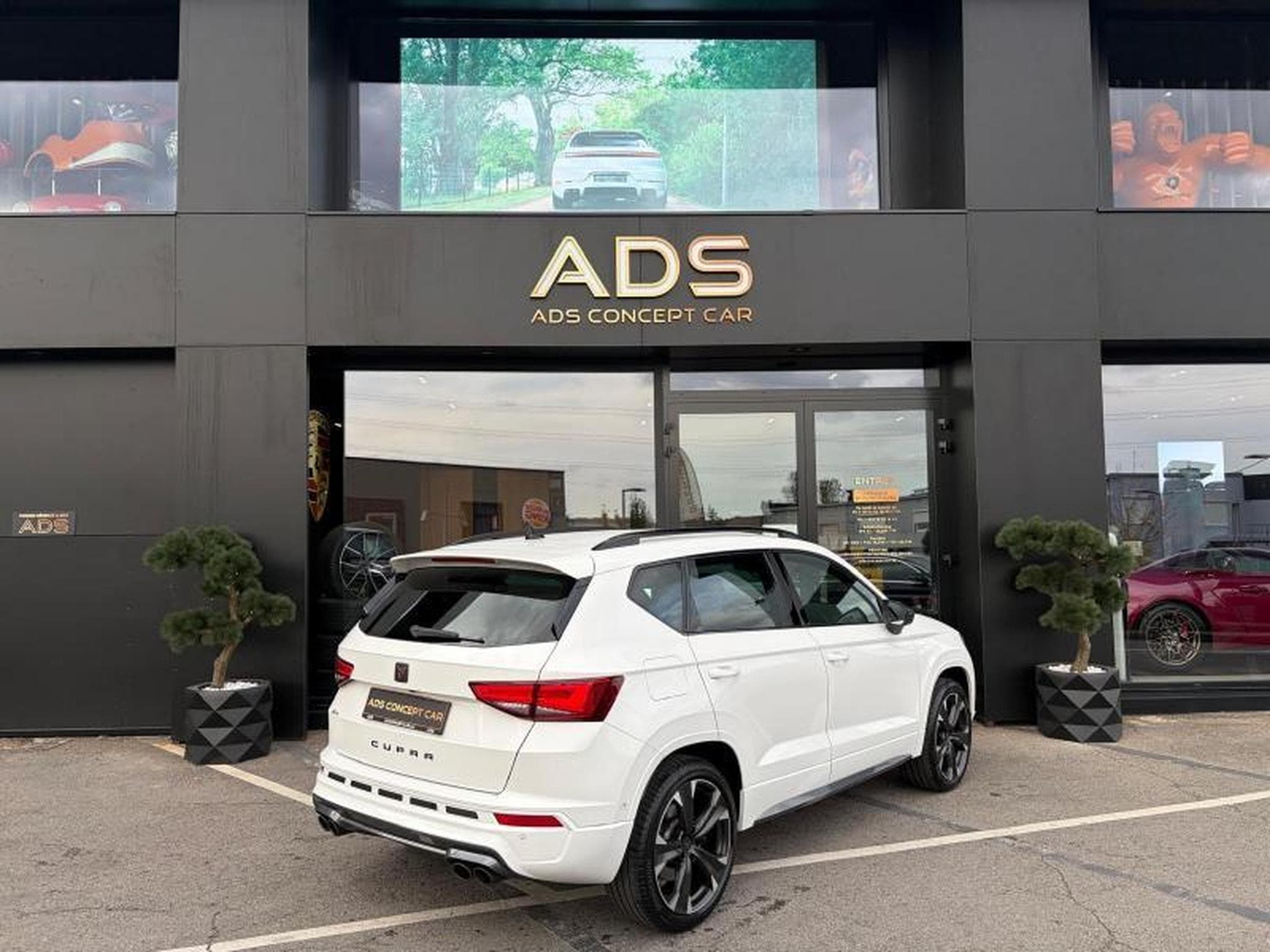 Cupra Ateca BVA/Cam360°/BeatsAudio/Jantes19/AppleCarPlay (2023) - Foto 16