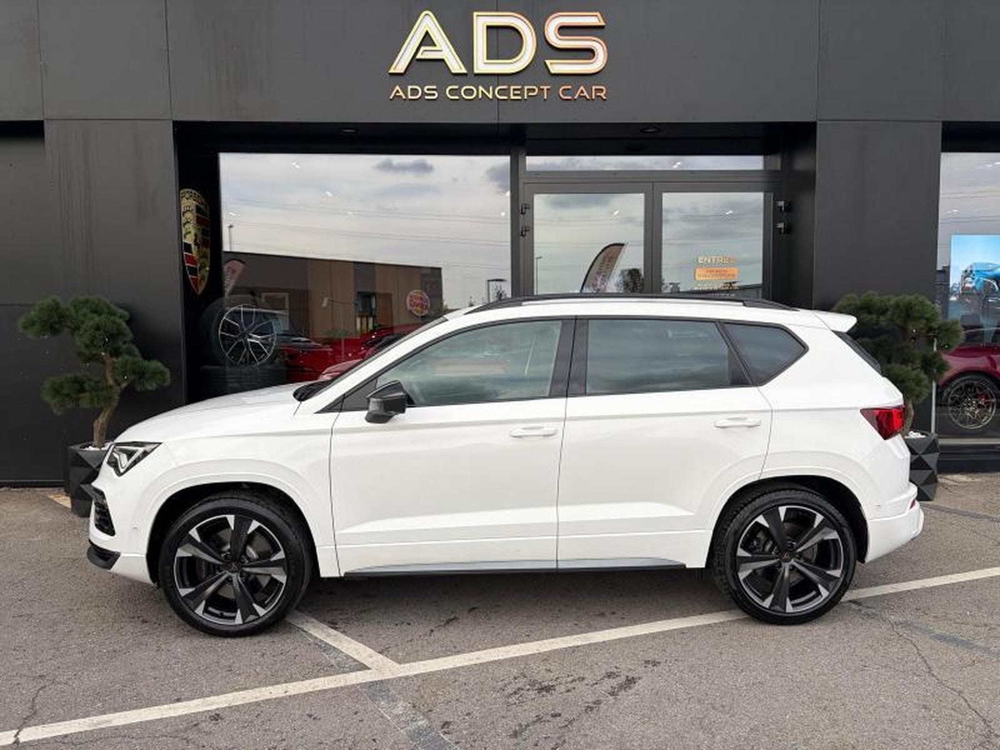Cupra Ateca BVA/Cam360°/BeatsAudio/Jantes19/AppleCarPlay (2023) - Foto 3