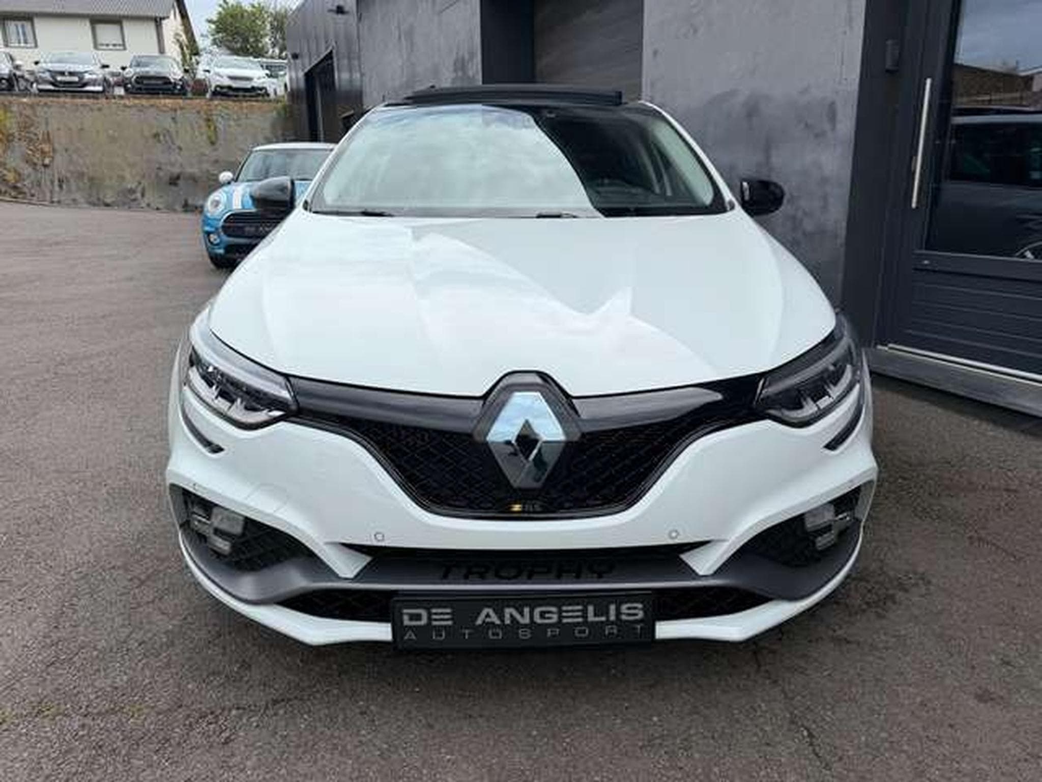 Renault Megane 1.8 TCE 300 RS TROPHY (2022) - Photo 8