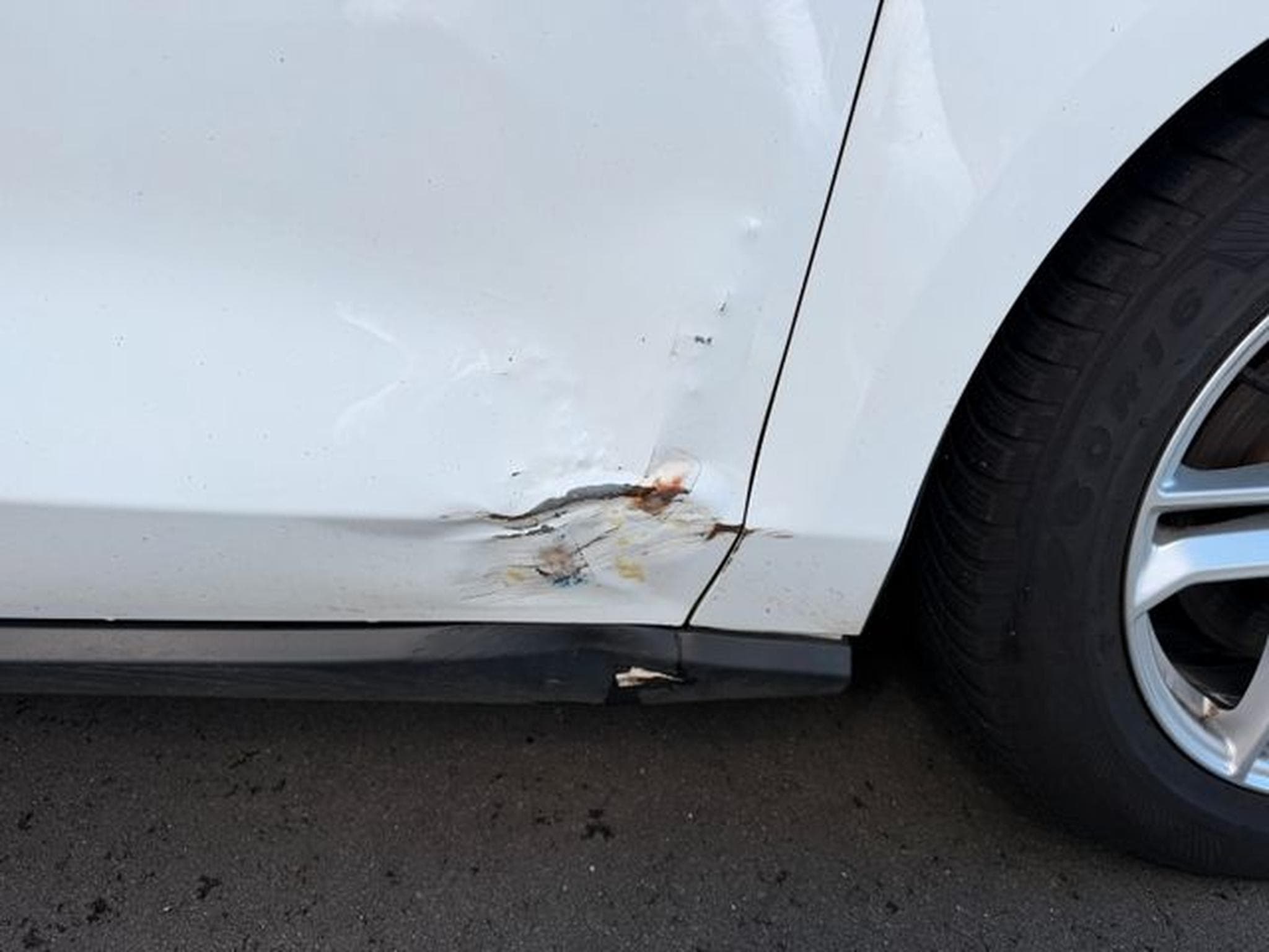 Ford Focus Focus Lim. Cool &amp; Connect Navi Kam Sitzhz Lkrhz (2020) - Photo 5