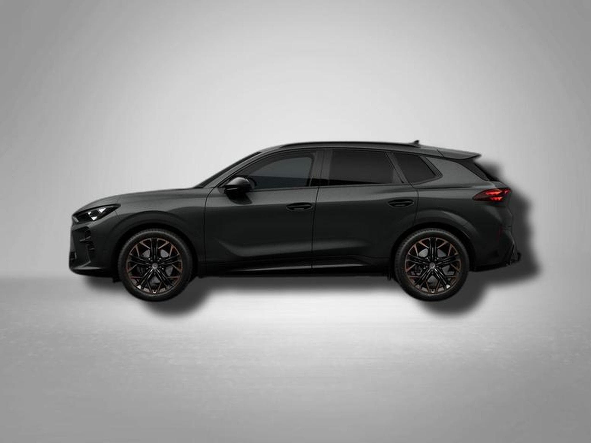 Cupra Terramar VZ 2.0 TSI 7-Gang-DSG 4Drive (2026) - Photo 2