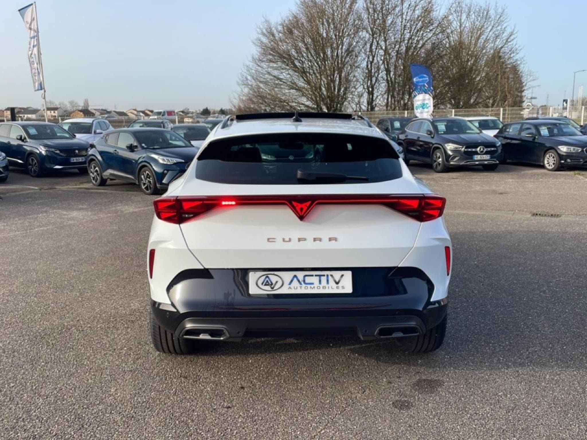 Cupra FORMENTOR 2.0 TDI 150 V DSG7 (2026) - Photo 6