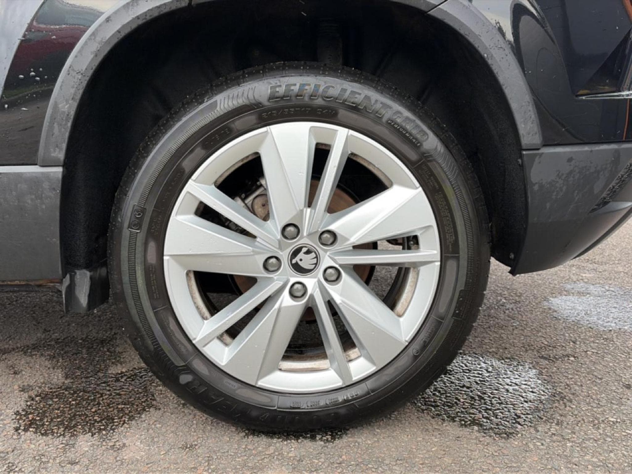 Skoda KAROQ 1.5 TSI 150 SELECTION DSG7 (2025) - Foto 9