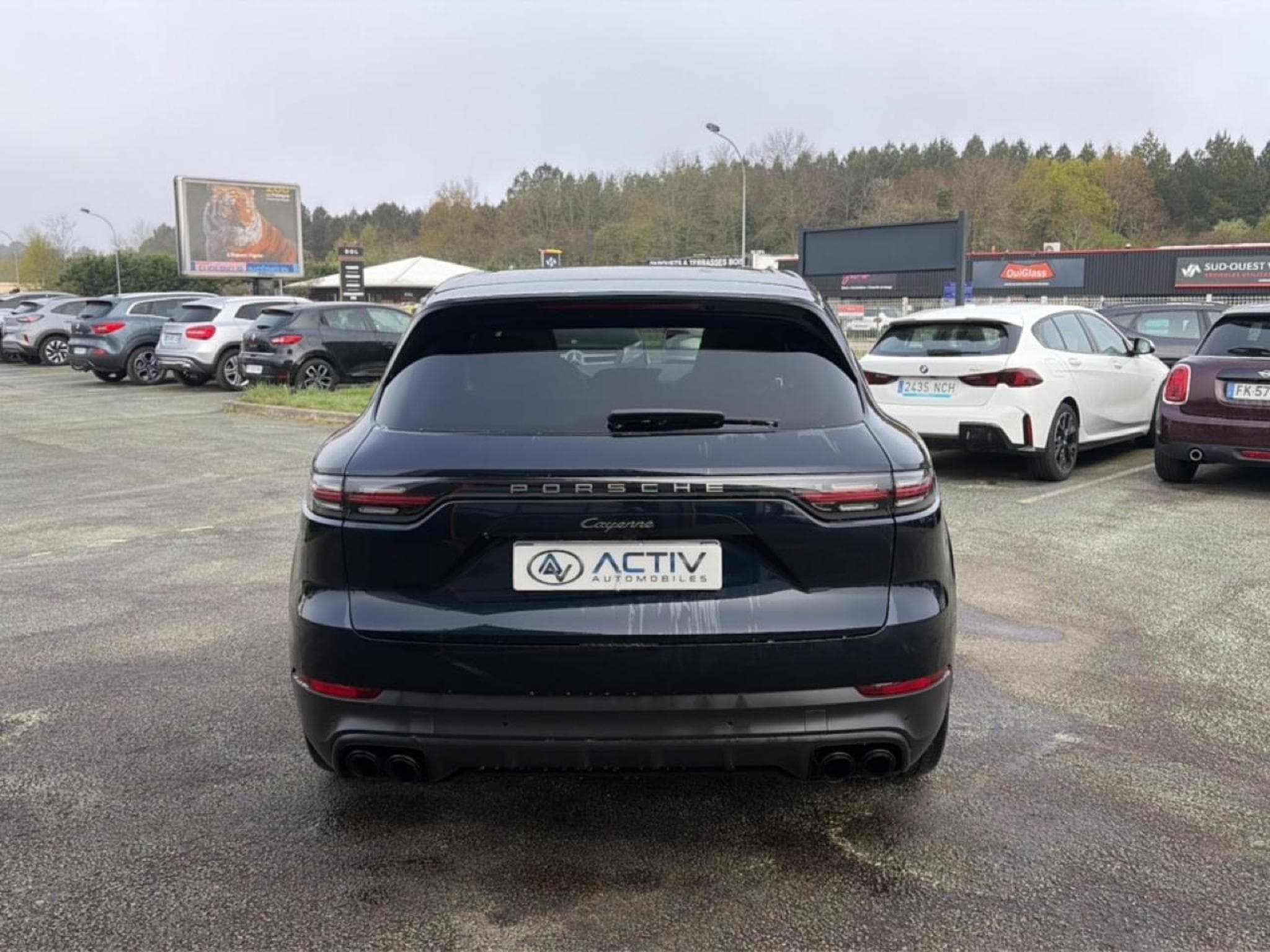 Porsche CAYENNE (9YA) 3.0 V6 462 E-HYBRID PLATINUM EDITION (2023) - Photo 6