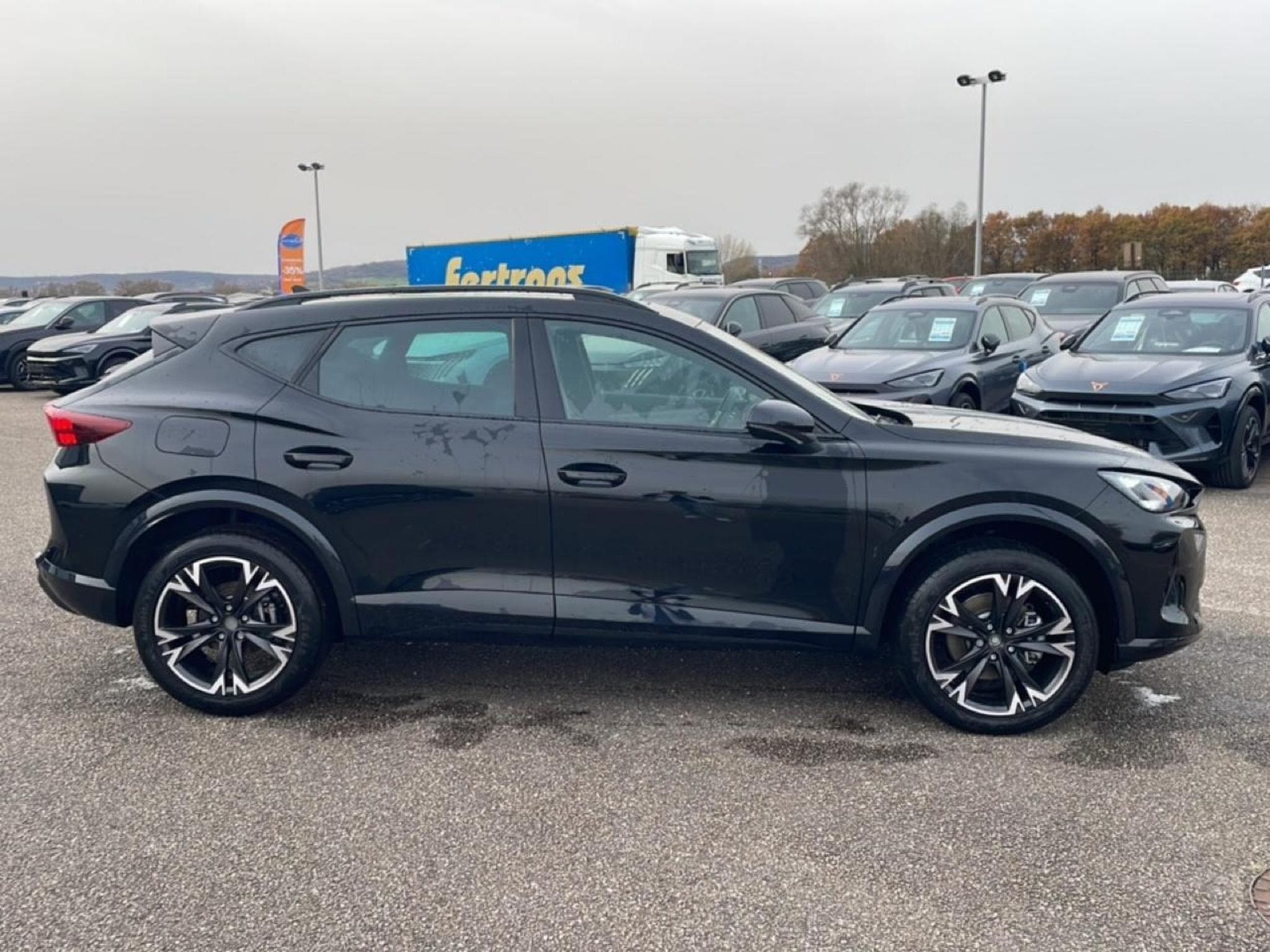Cupra FORMENTOR 2.0 TDI 150 V DSG7 (2025) - Photo 4