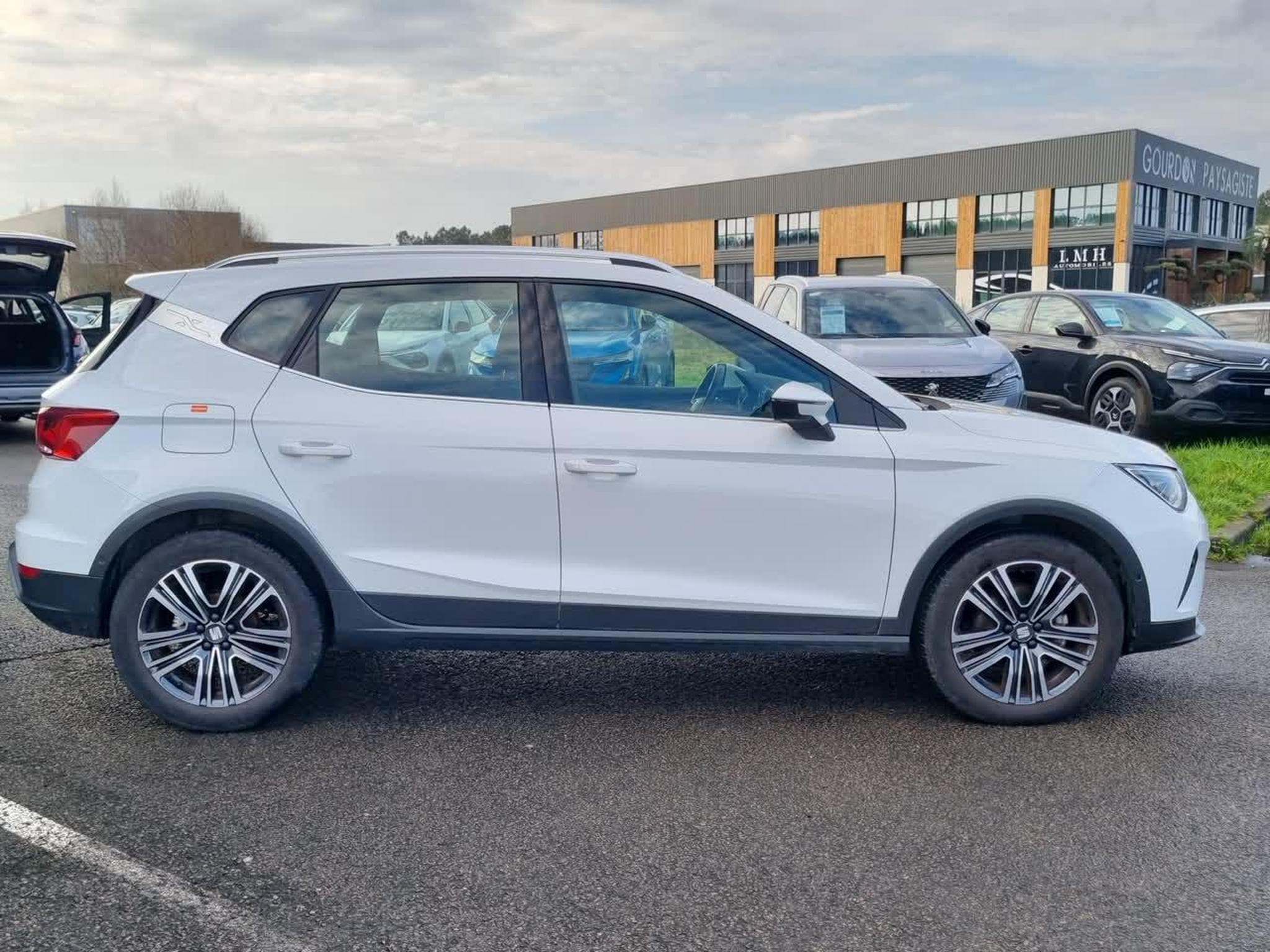 Seat ARONA 1.0 TSI 110 XPERIENCE (2023) - Foto 4
