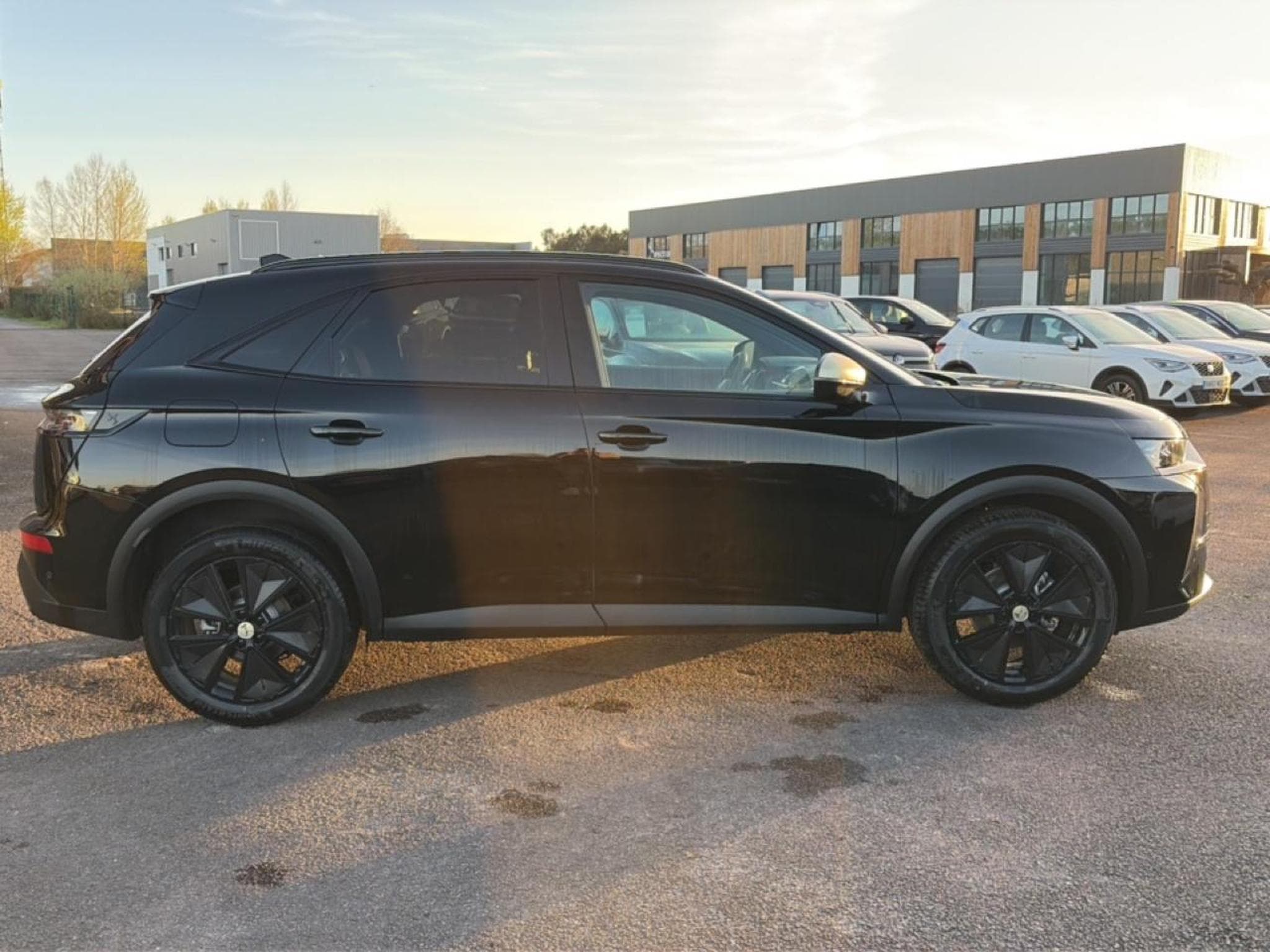 DS Automobiles DS7 1.5 BLUEHDI 130 PERFORMANCE LINE (2026) - Foto 4