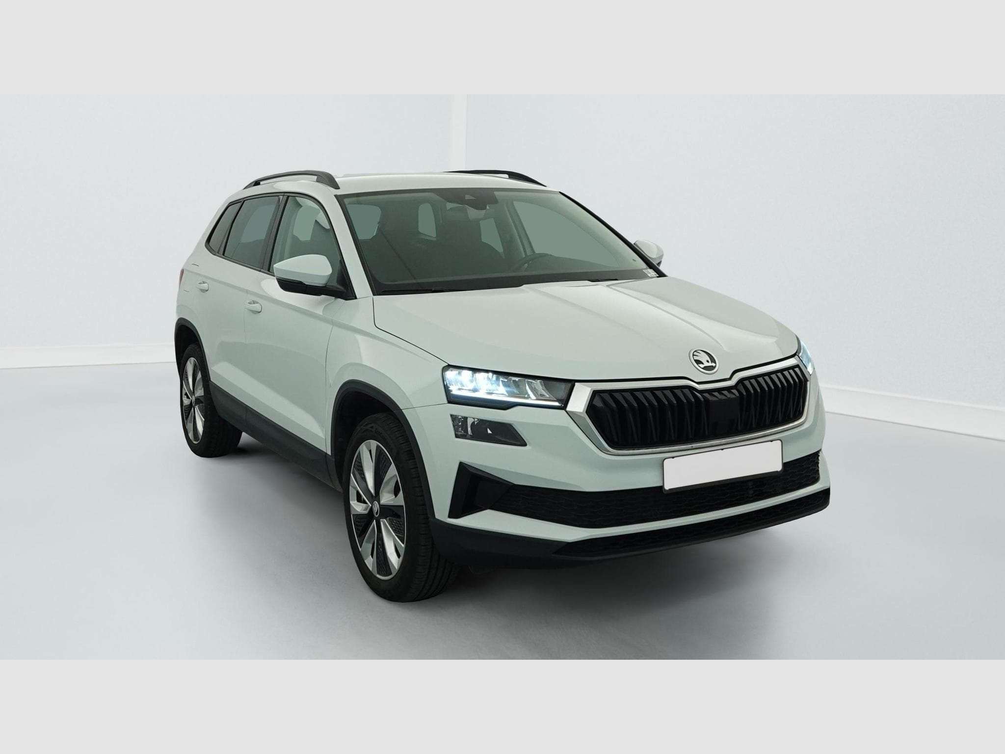 Skoda Karoq 2.0 TDI 116 ch SCR DSG7 Business (2024) - Foto 1