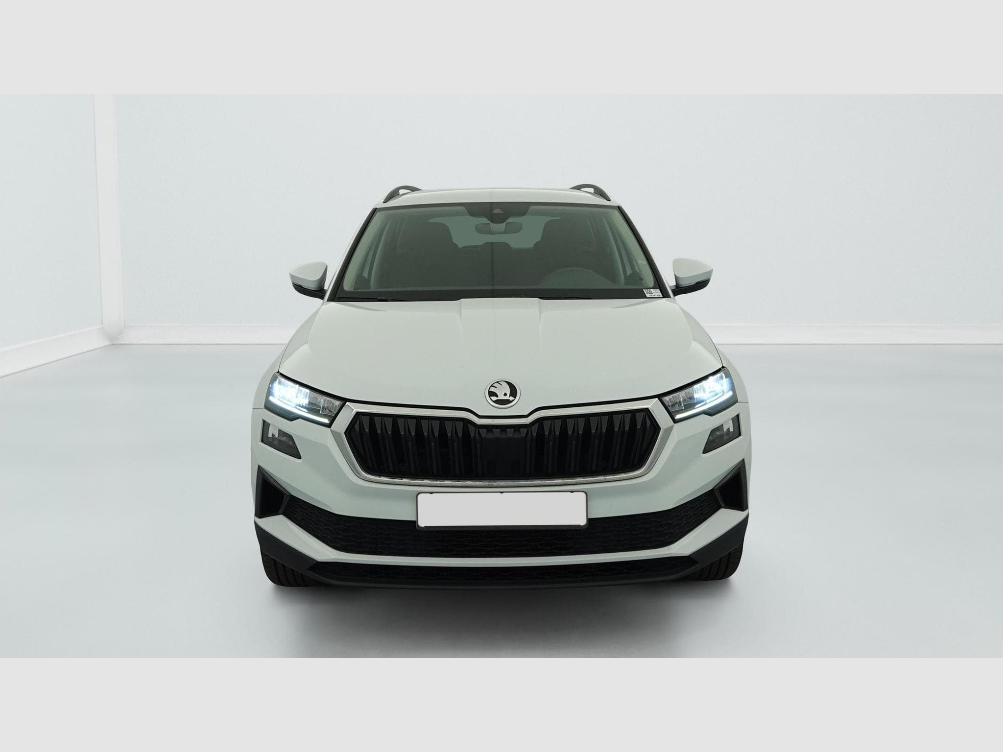 Skoda Karoq 2.0 TDI 116 ch SCR DSG7 Business (2024) - Foto 2