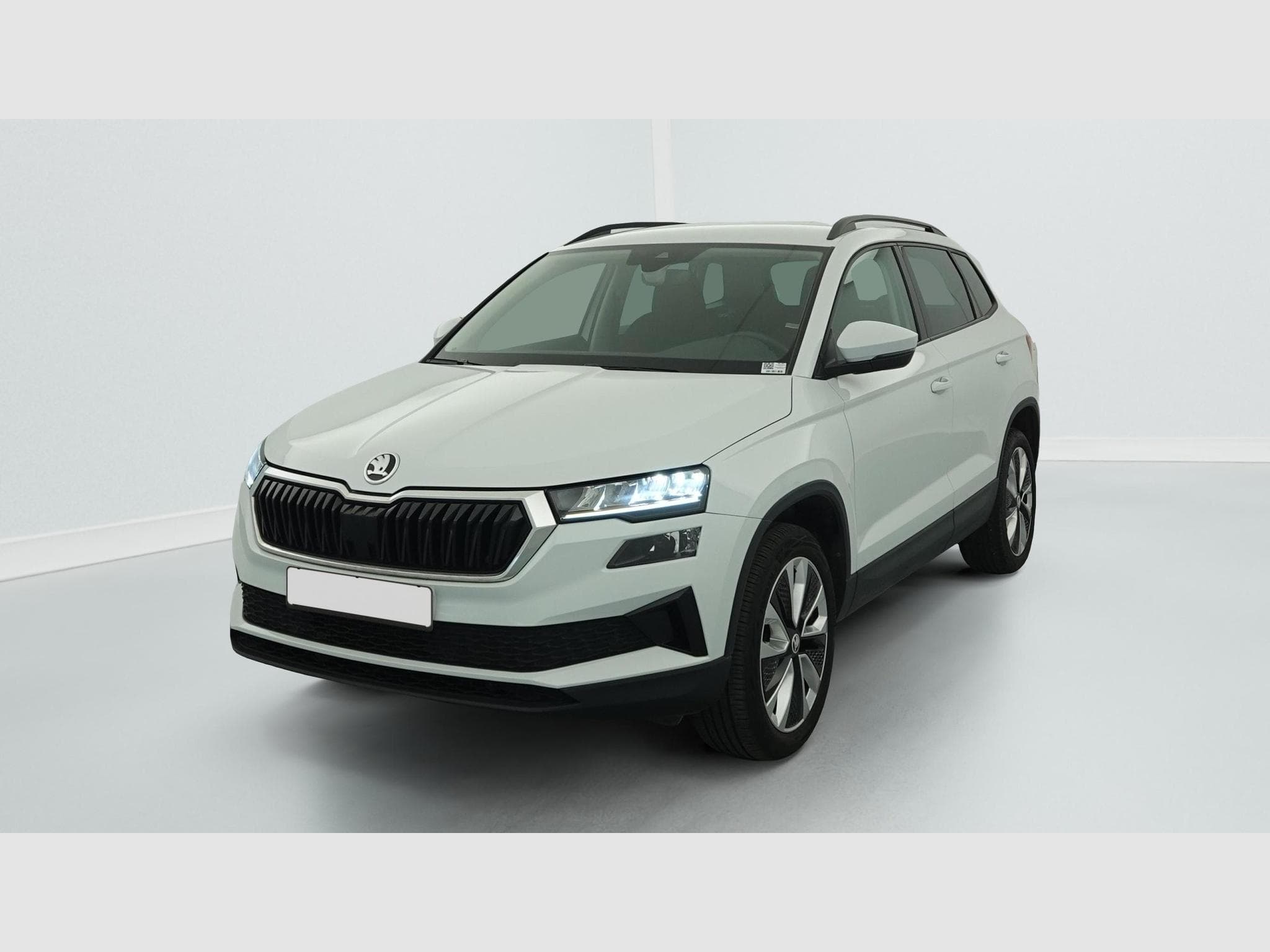 Skoda Karoq 2.0 TDI 116 ch SCR DSG7 Business (2024) - Foto 3