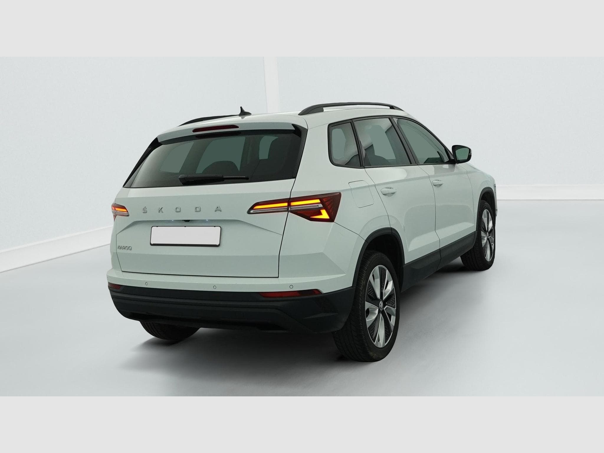 Skoda Karoq 2.0 TDI 116 ch SCR DSG7 Business (2024) - Foto 7