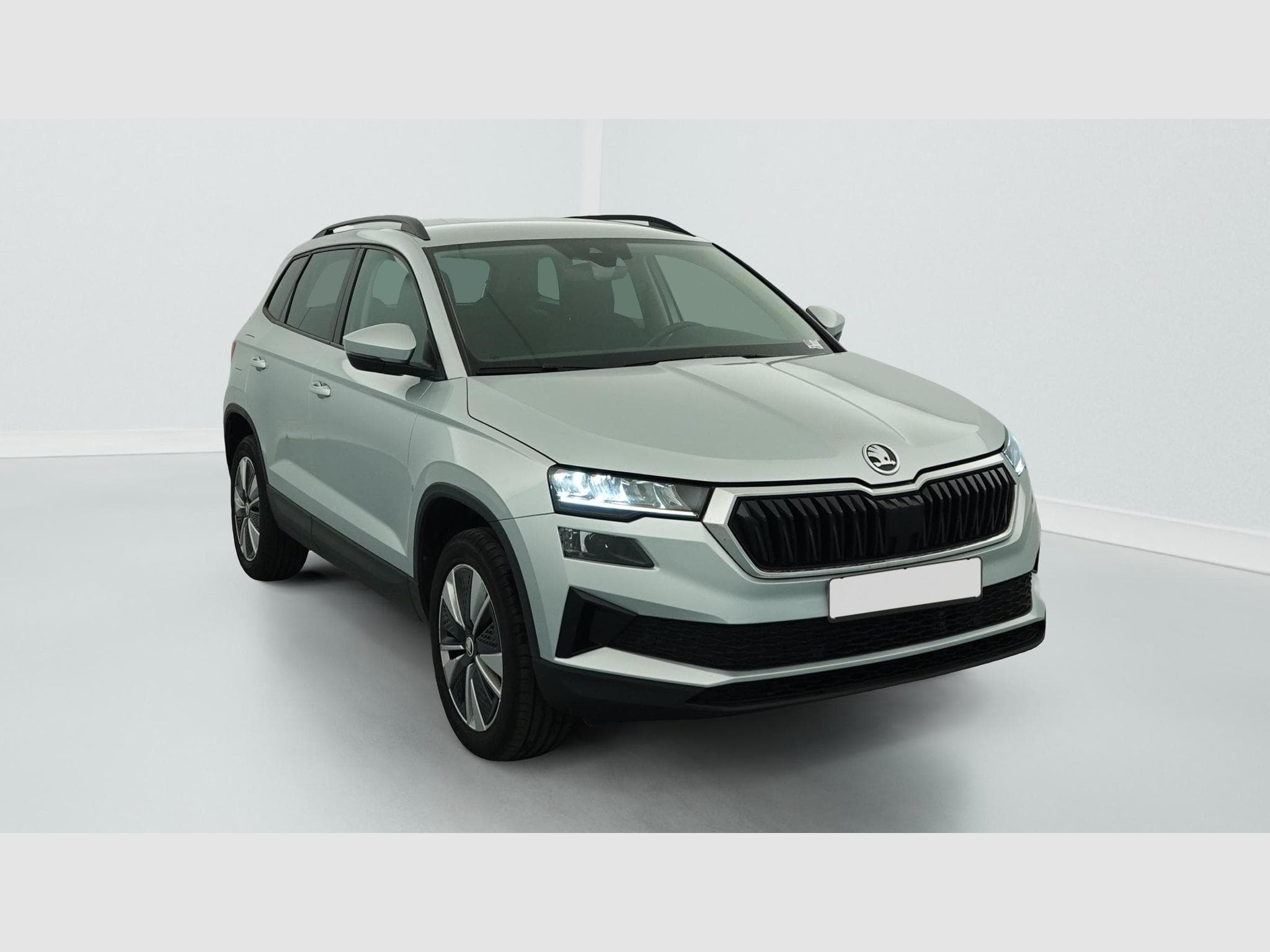 Skoda Karoq 2.0 TDI 116 ch SCR DSG7 Business (2023) - Foto 1