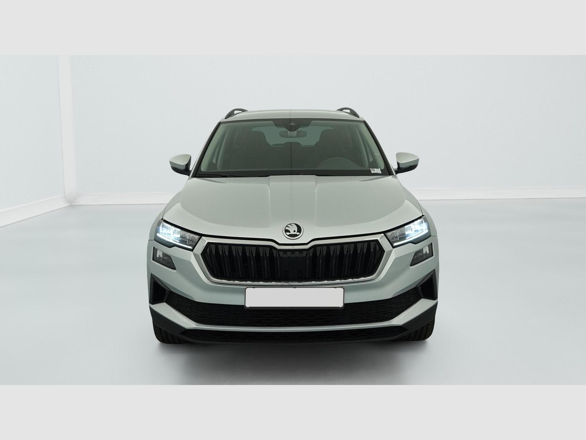 Skoda Karoq 2.0 TDI 116 ch SCR DSG7 Business (2023) - Foto 2