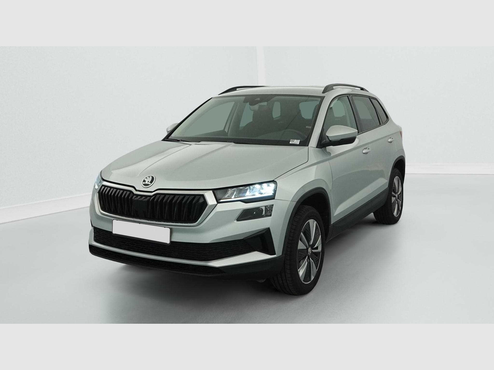 Skoda Karoq 2.0 TDI 116 ch SCR DSG7 Business (2023) - Foto 3