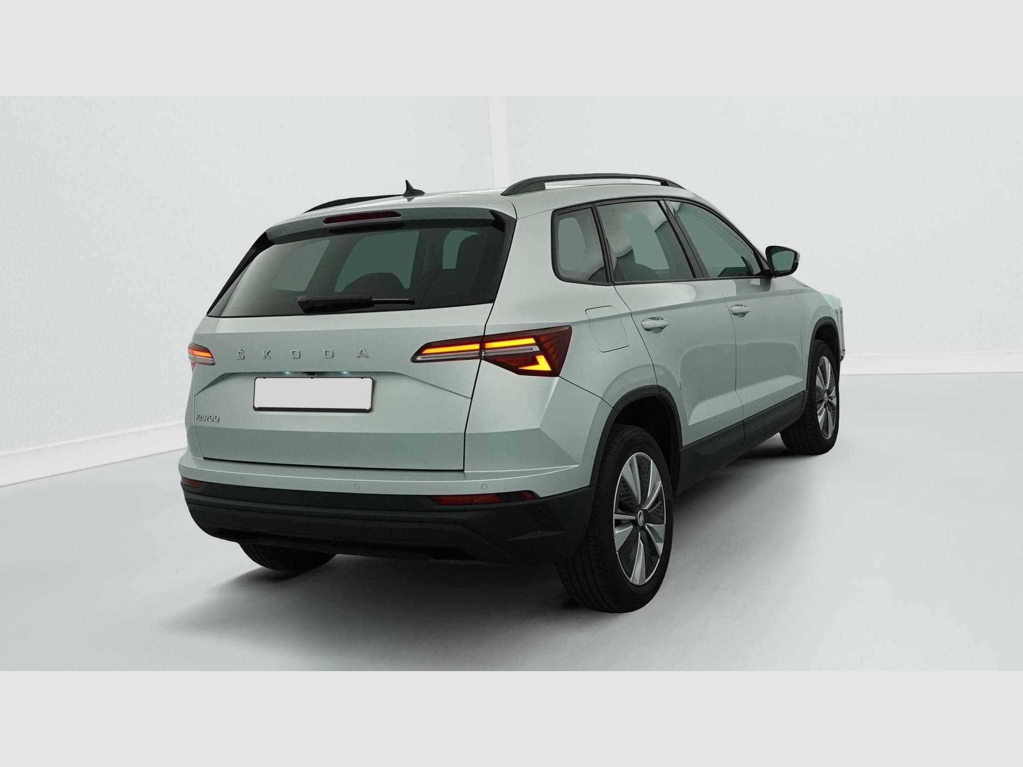 Skoda Karoq 2.0 TDI 116 ch SCR DSG7 Business (2023) - Foto 7