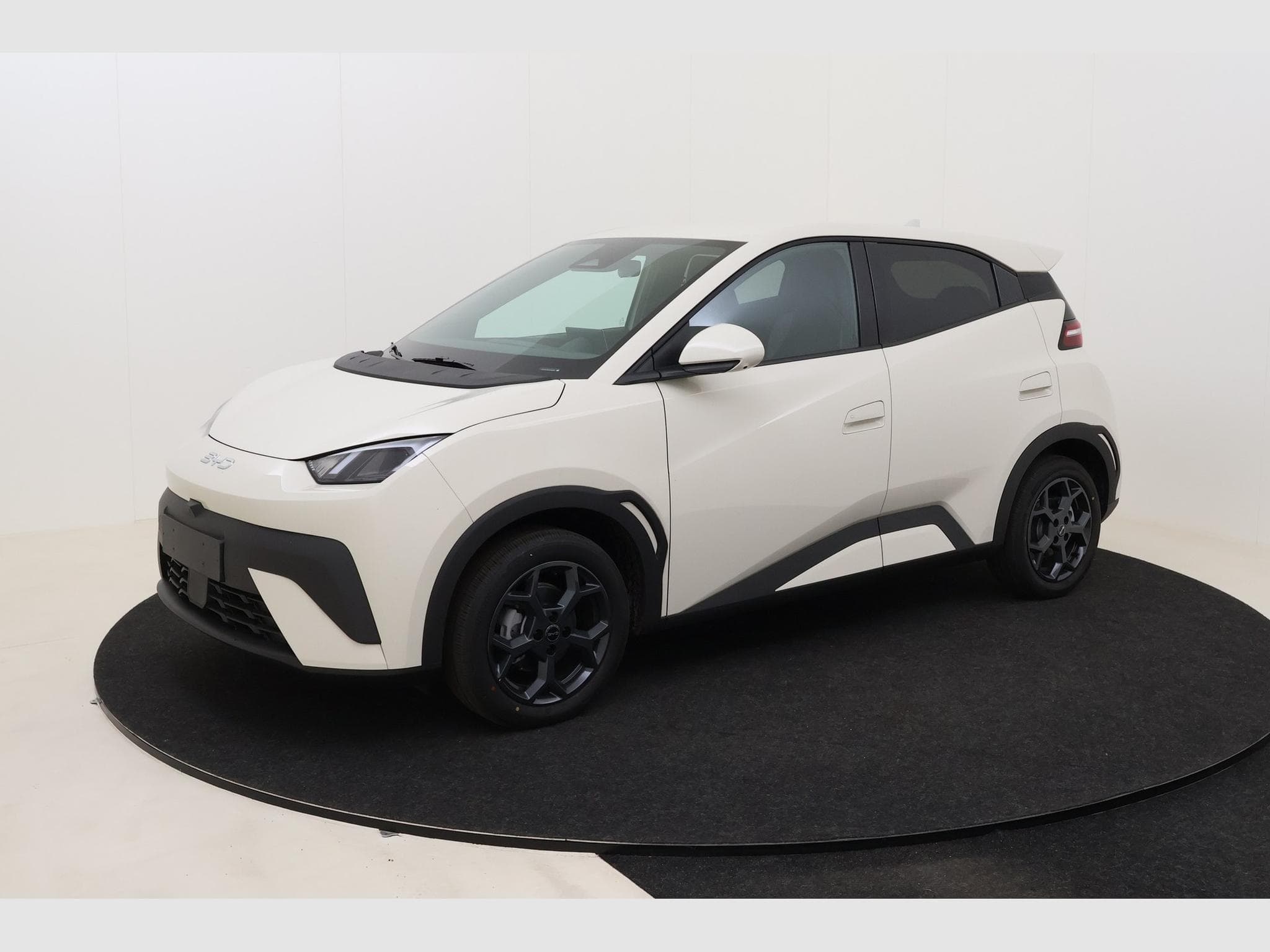 Byd Dolphin Surf Comfort (2025) - Photo 10